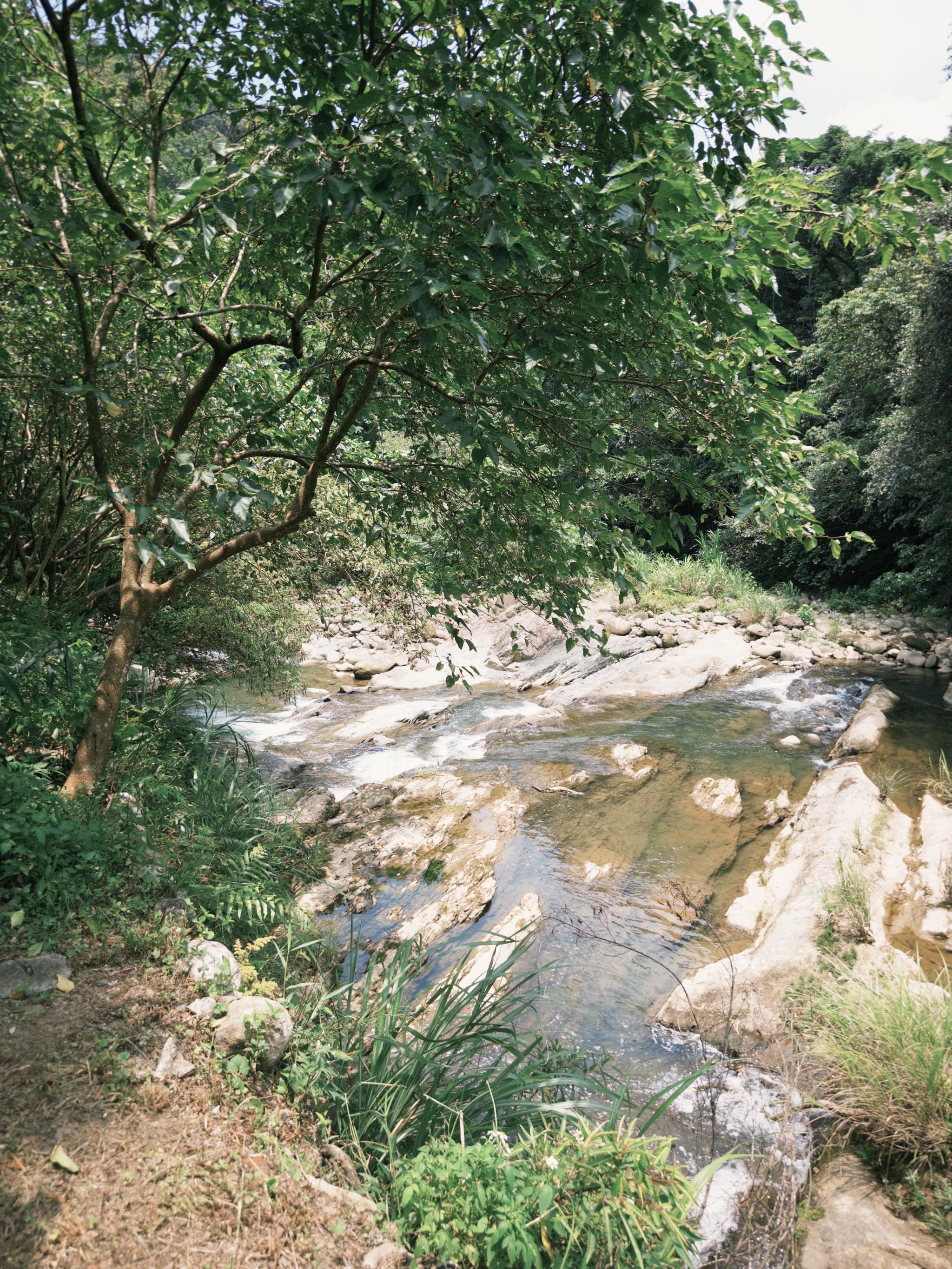 June 2026 · Shiding