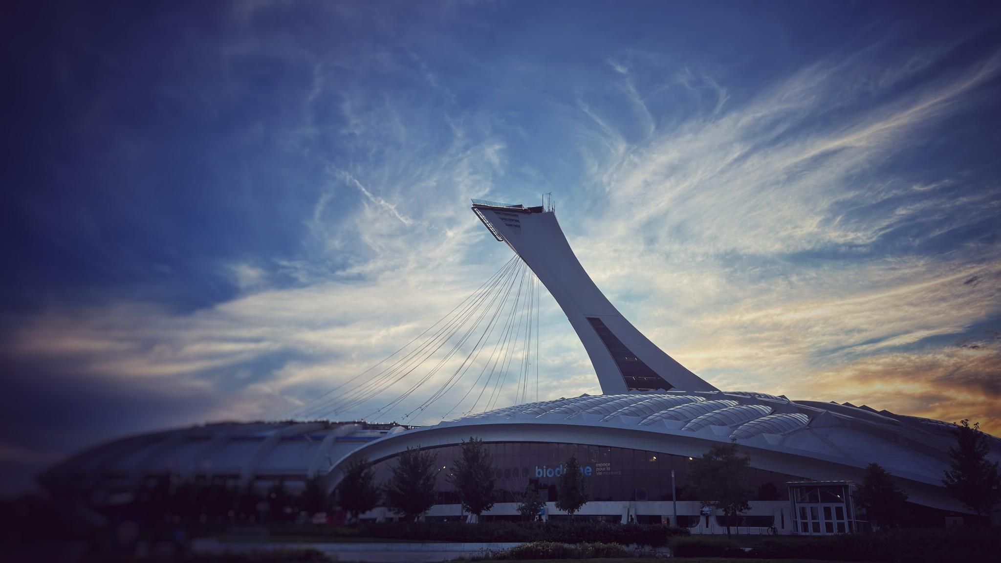 A spaceship has landed
