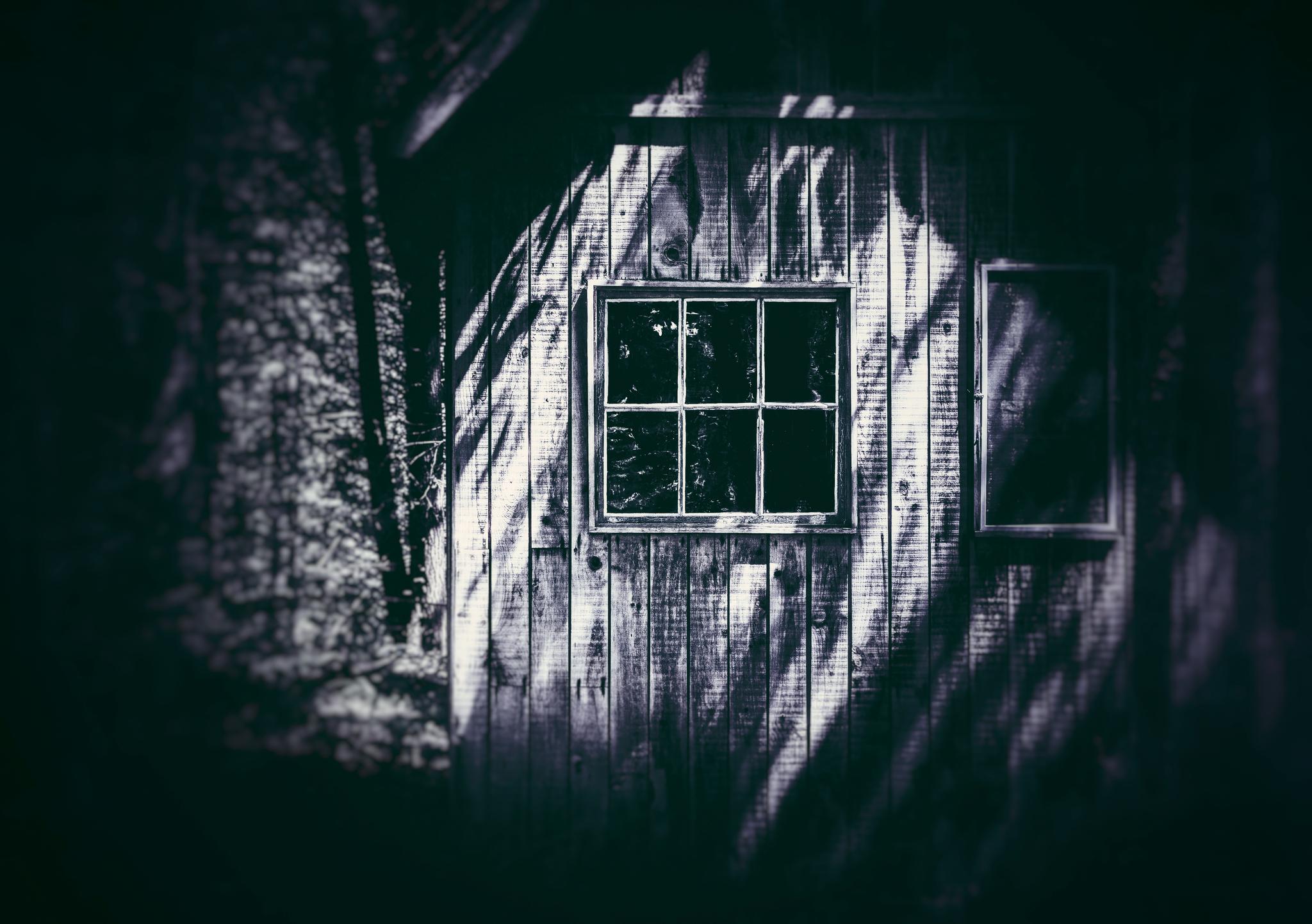 A cabin in the wood with a window