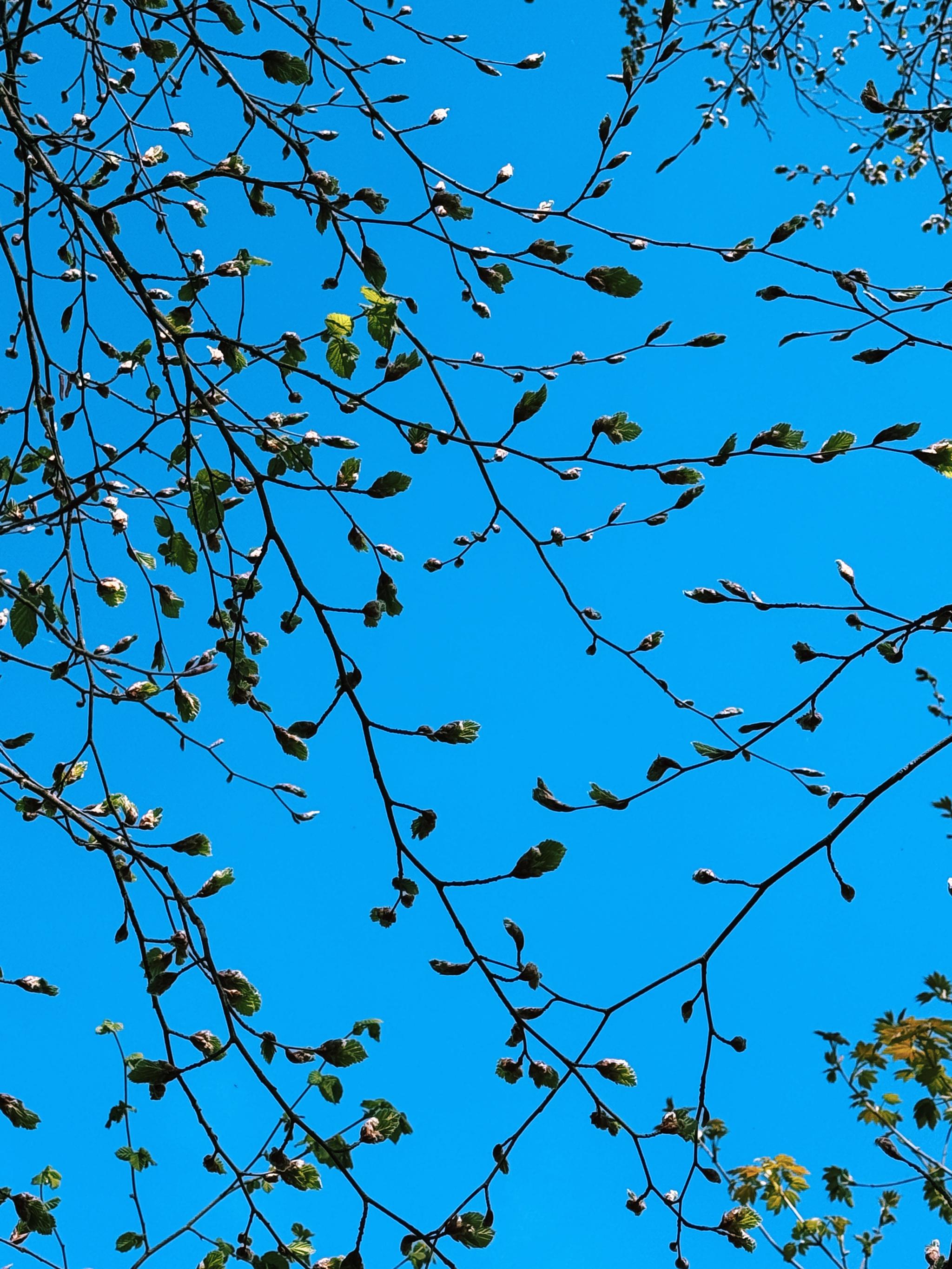 look up
