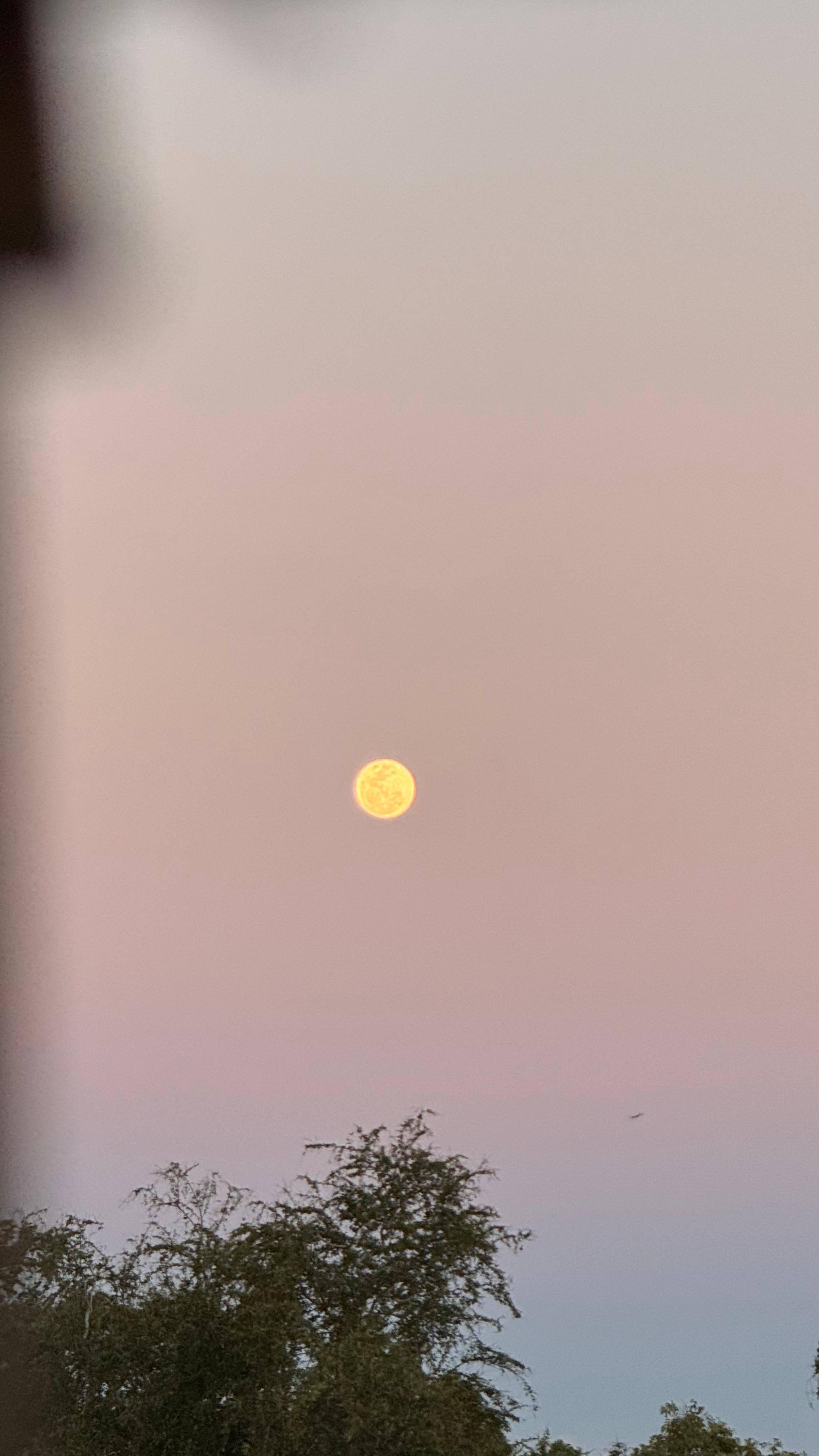 cotton candy skies and strawberry moon🍓🧸💗