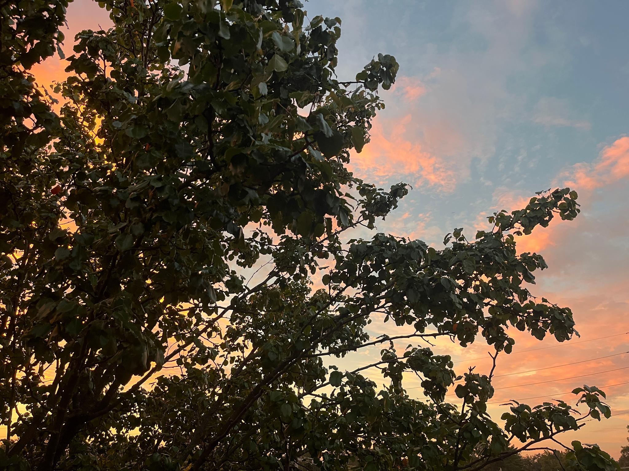 evening sky