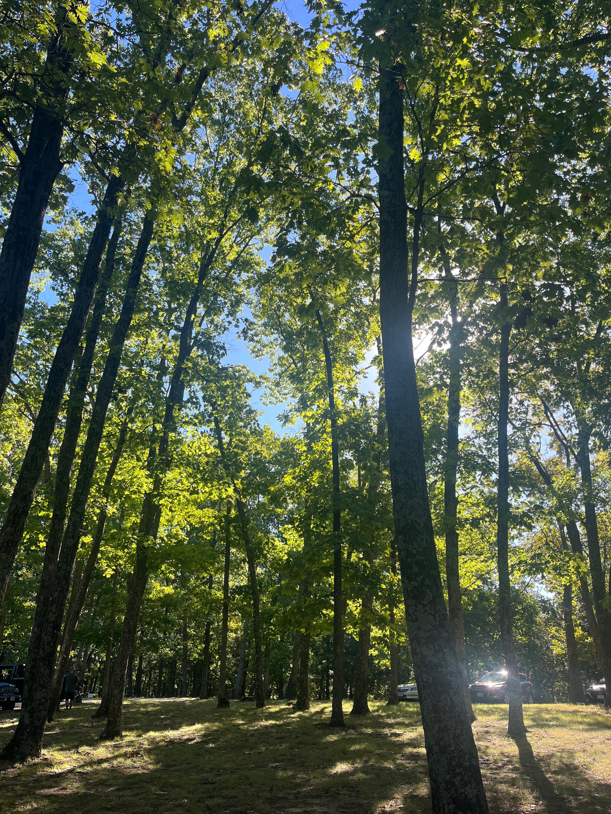 🥾hiking church