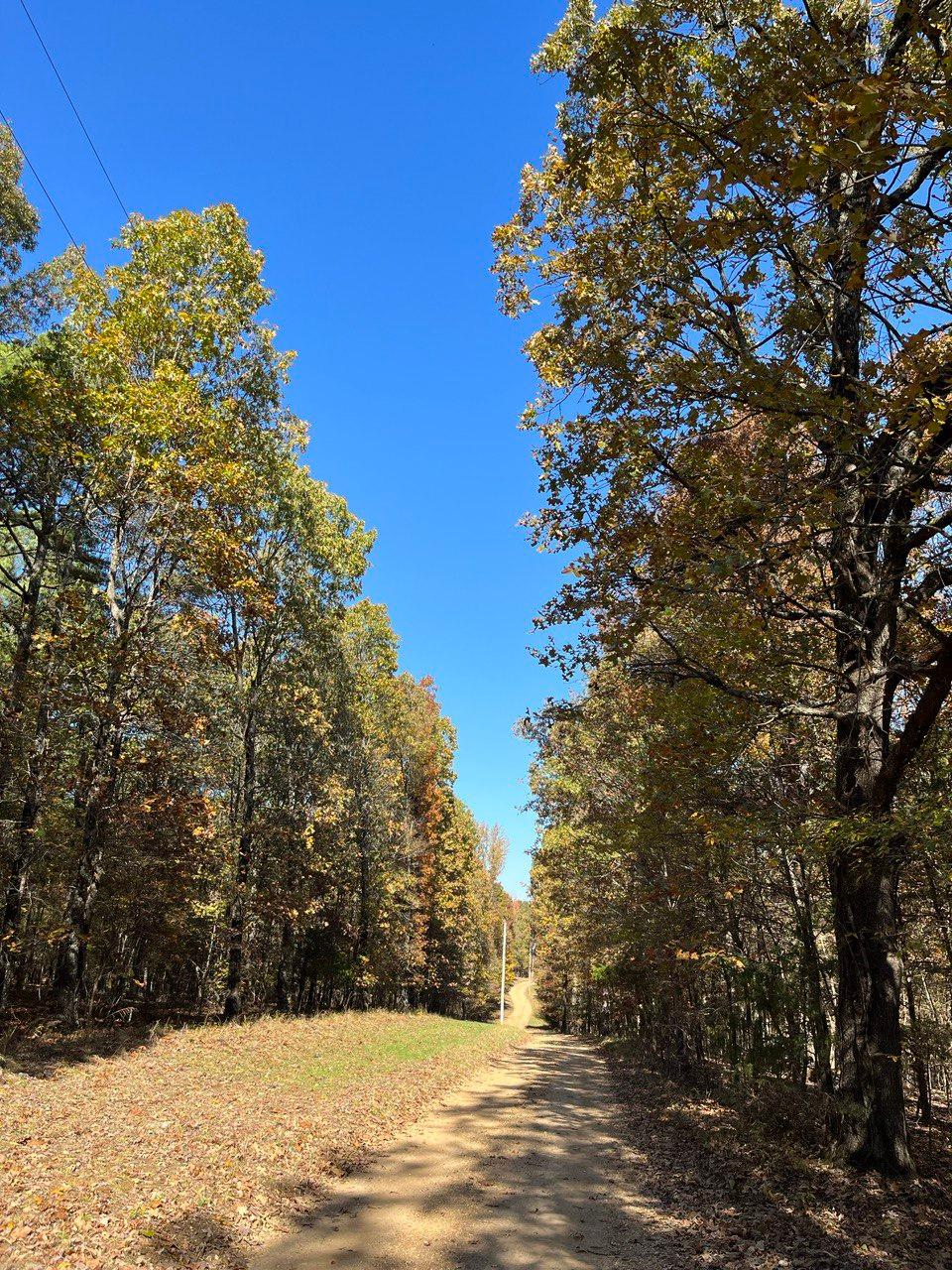 Country road to mom's house
