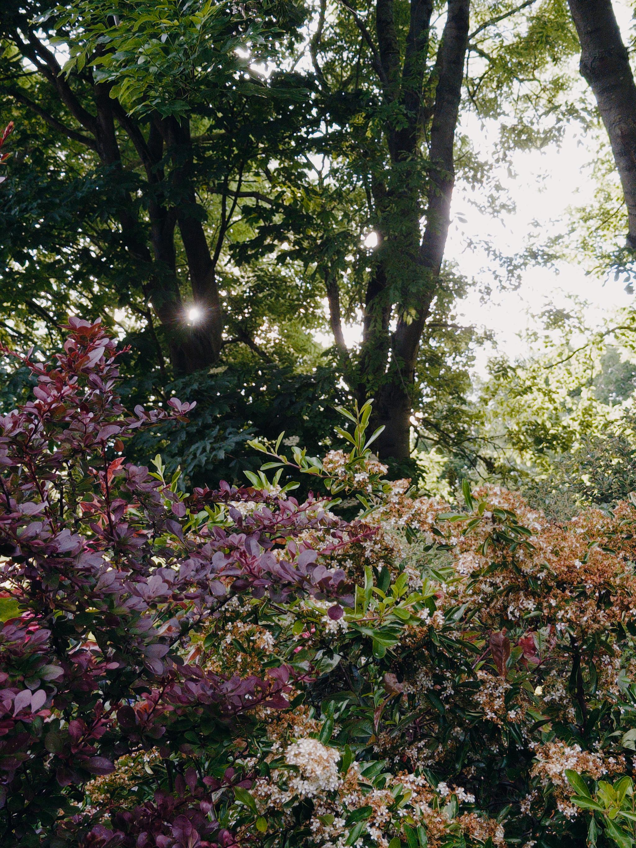 Neighbourhood nature