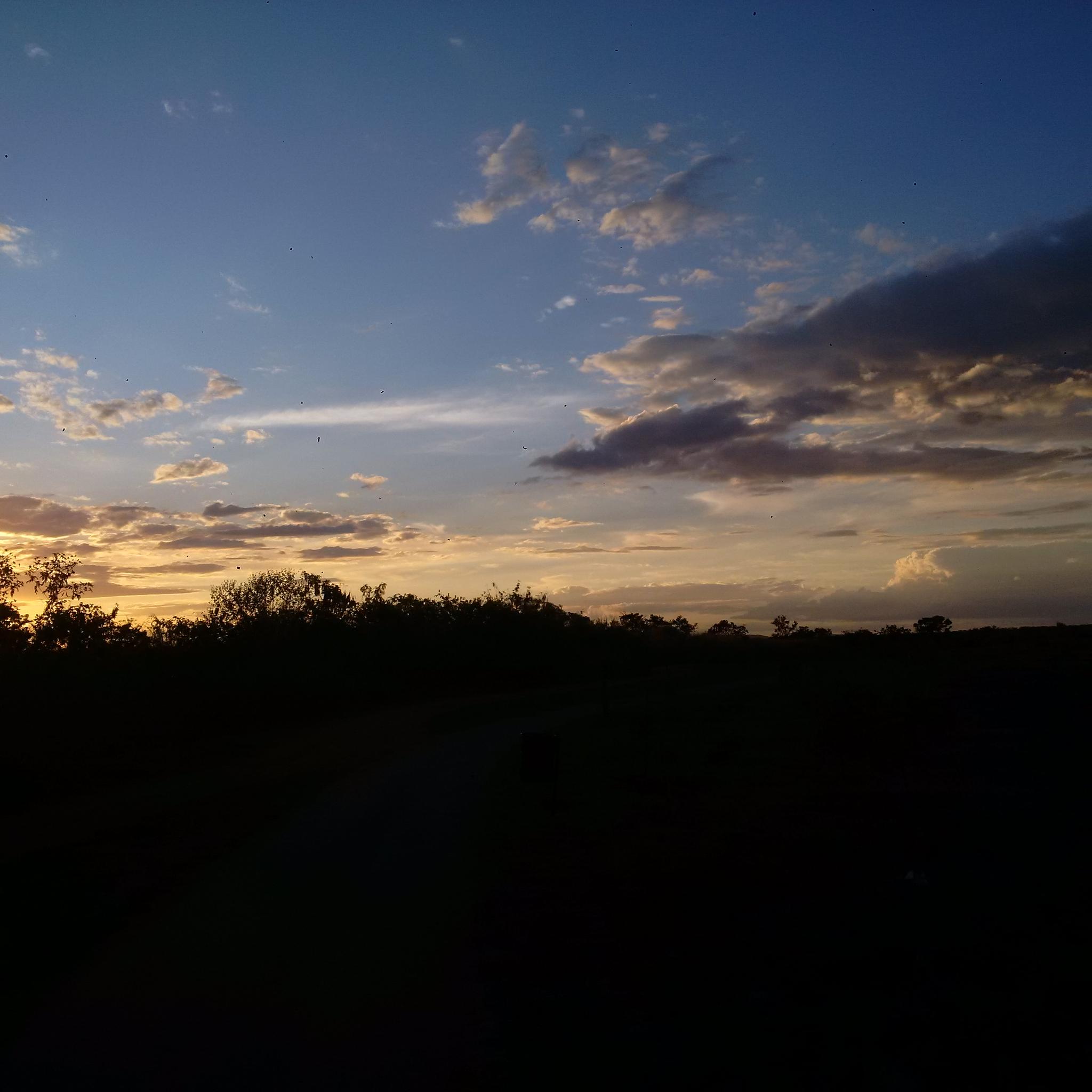 TARDEZINHA