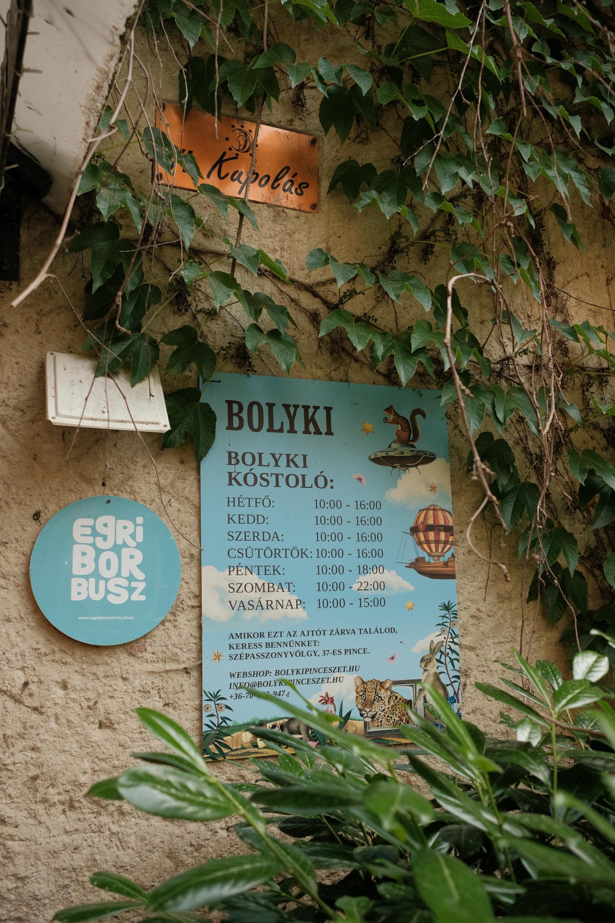 Bolyki Winery in Eger