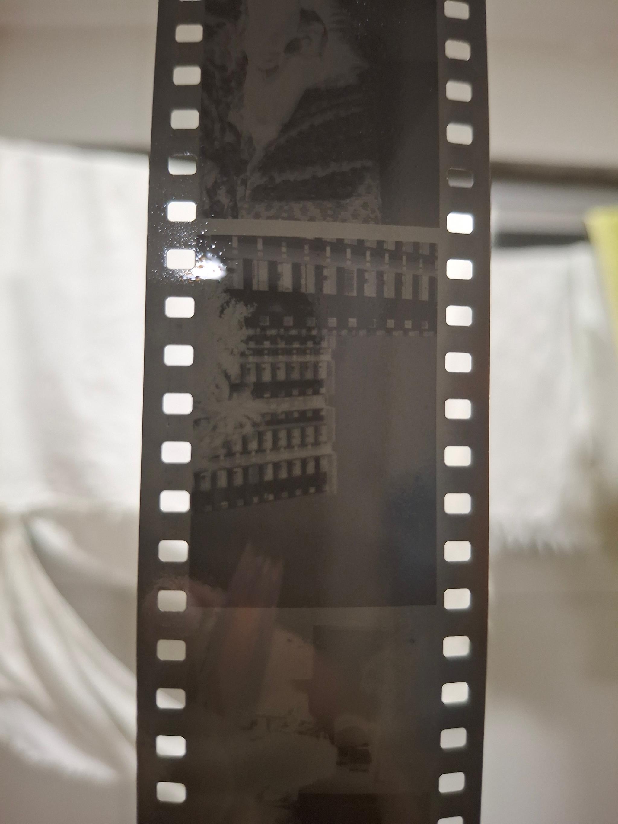 Filme revelado pendurado