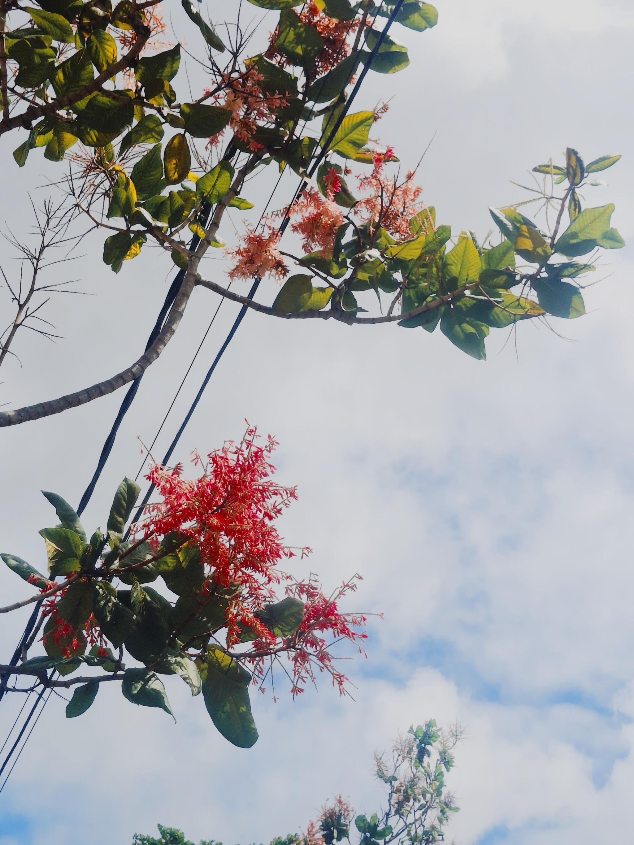Sometimes the answer is to look up.