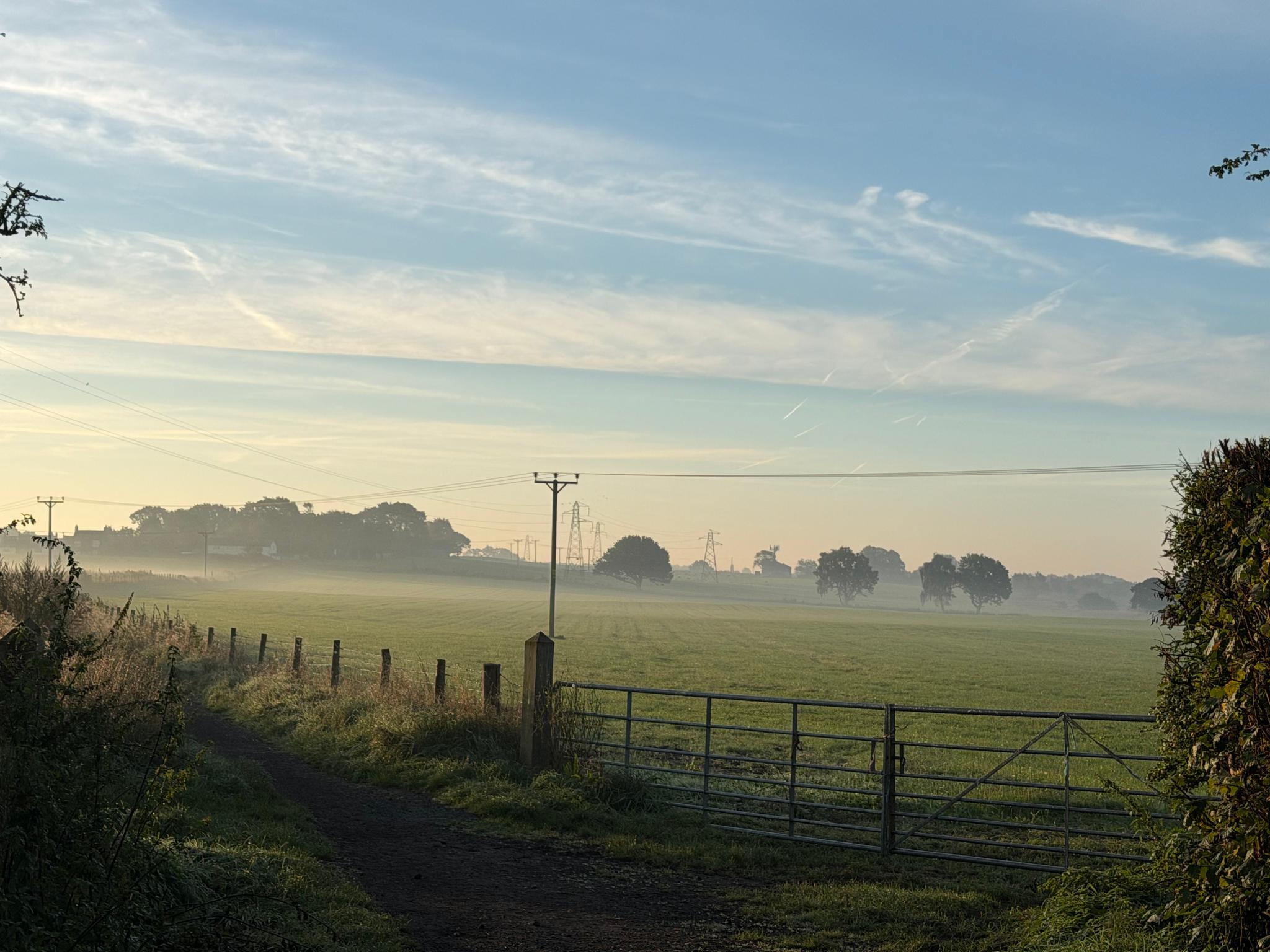 Misty fields
