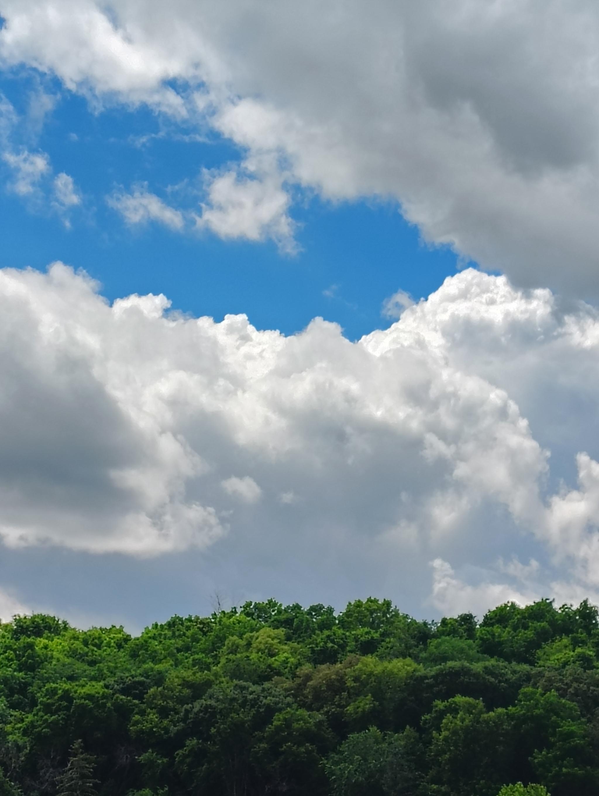 White, blue, and green