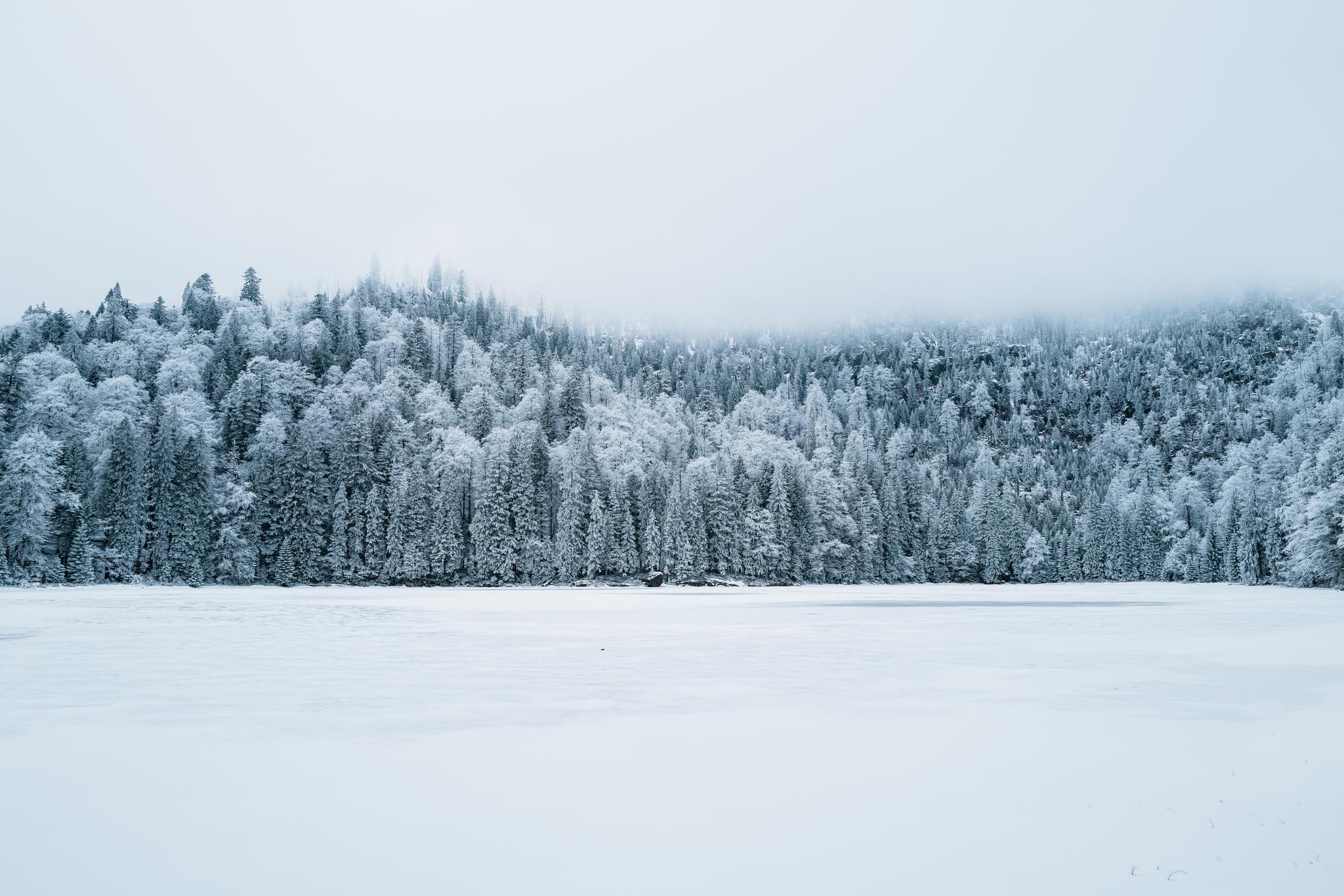 Lake Rachel