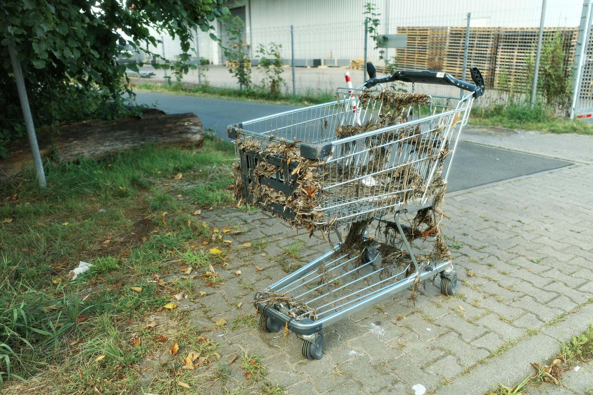 Astray Shopping Cart (2024)