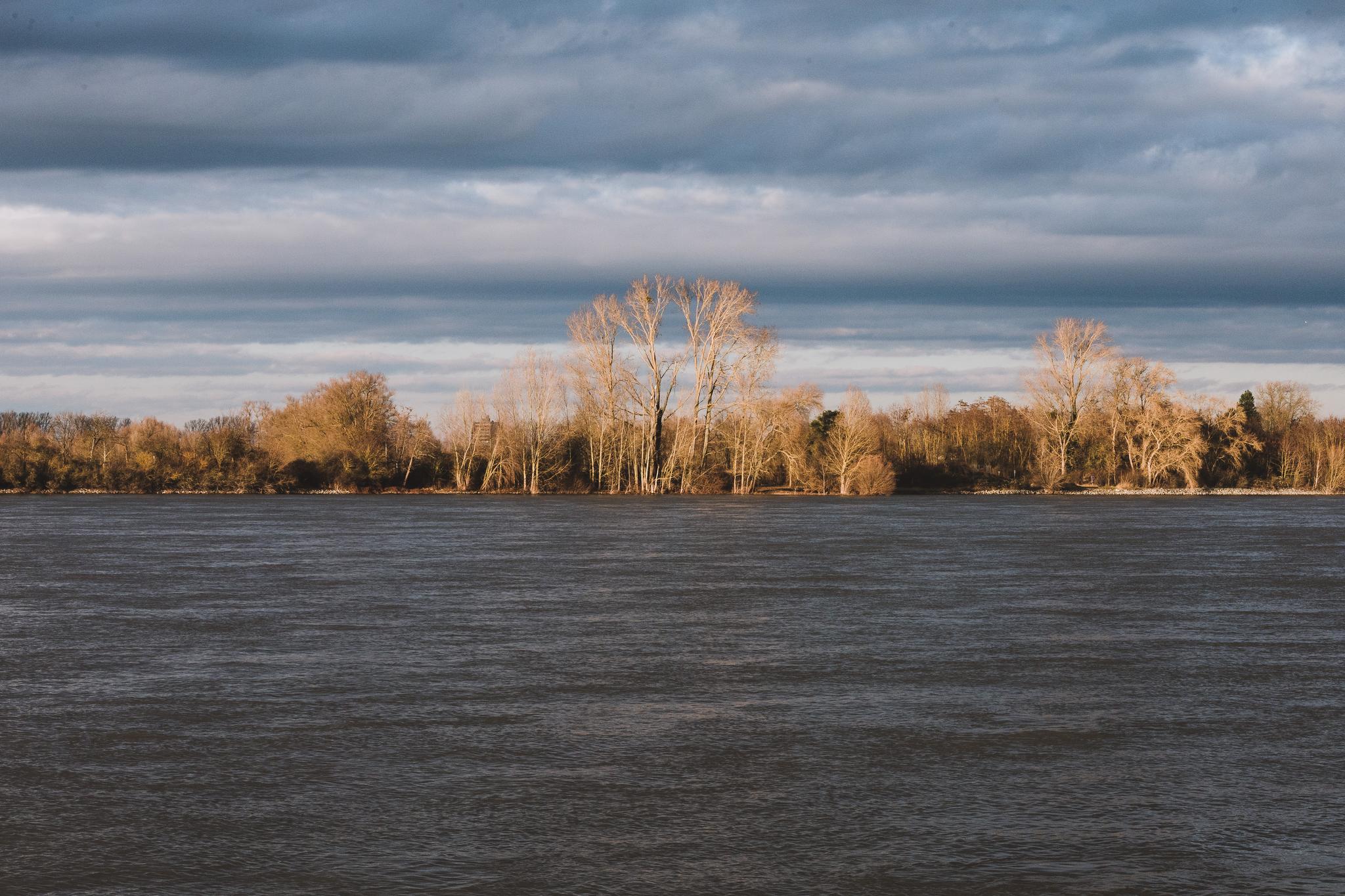 River Rhine