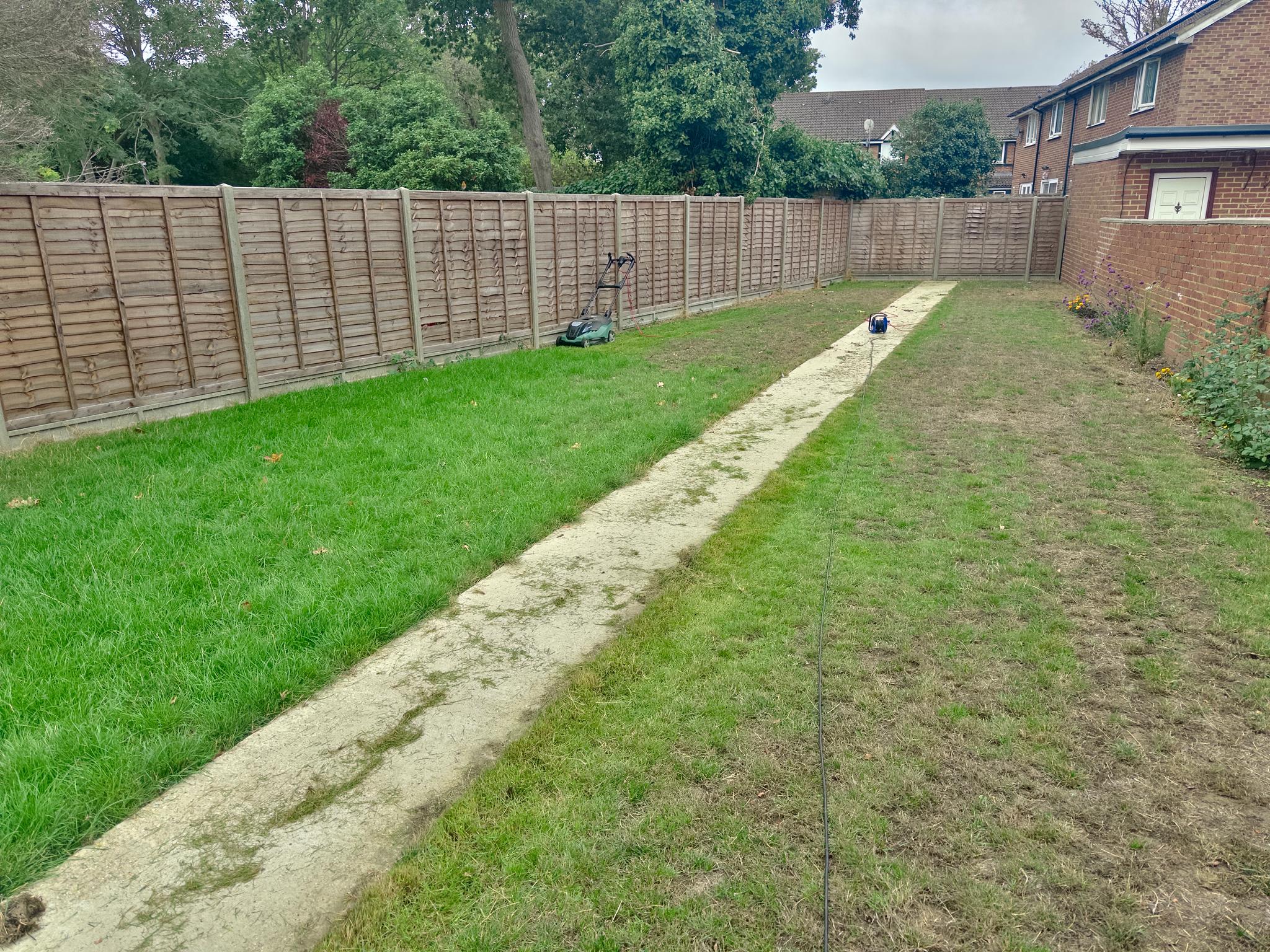 My Poor Drought Stressed Lawn