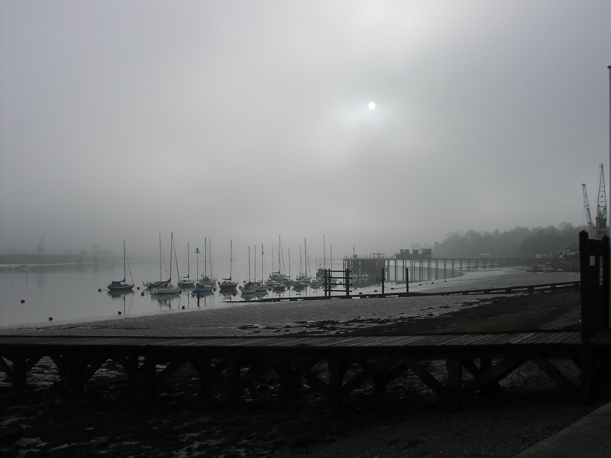 Misty Monochrome Morning