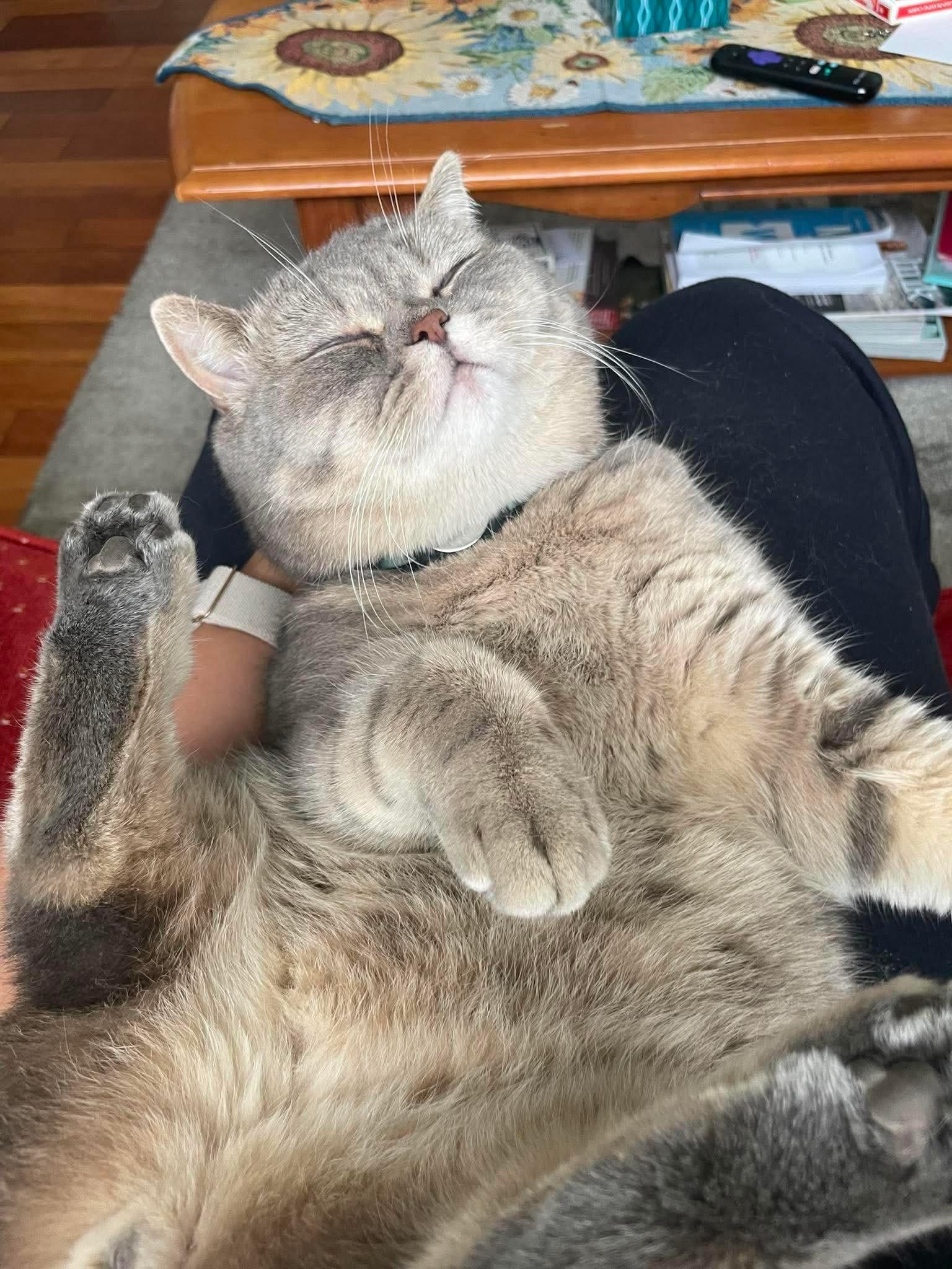 Nemo