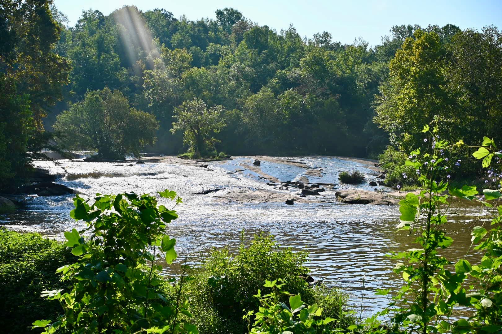 Cedar Falls