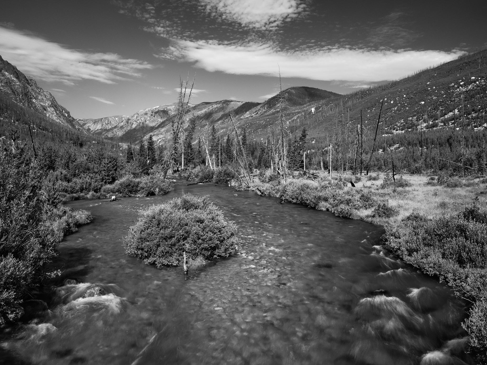 Up the Valley