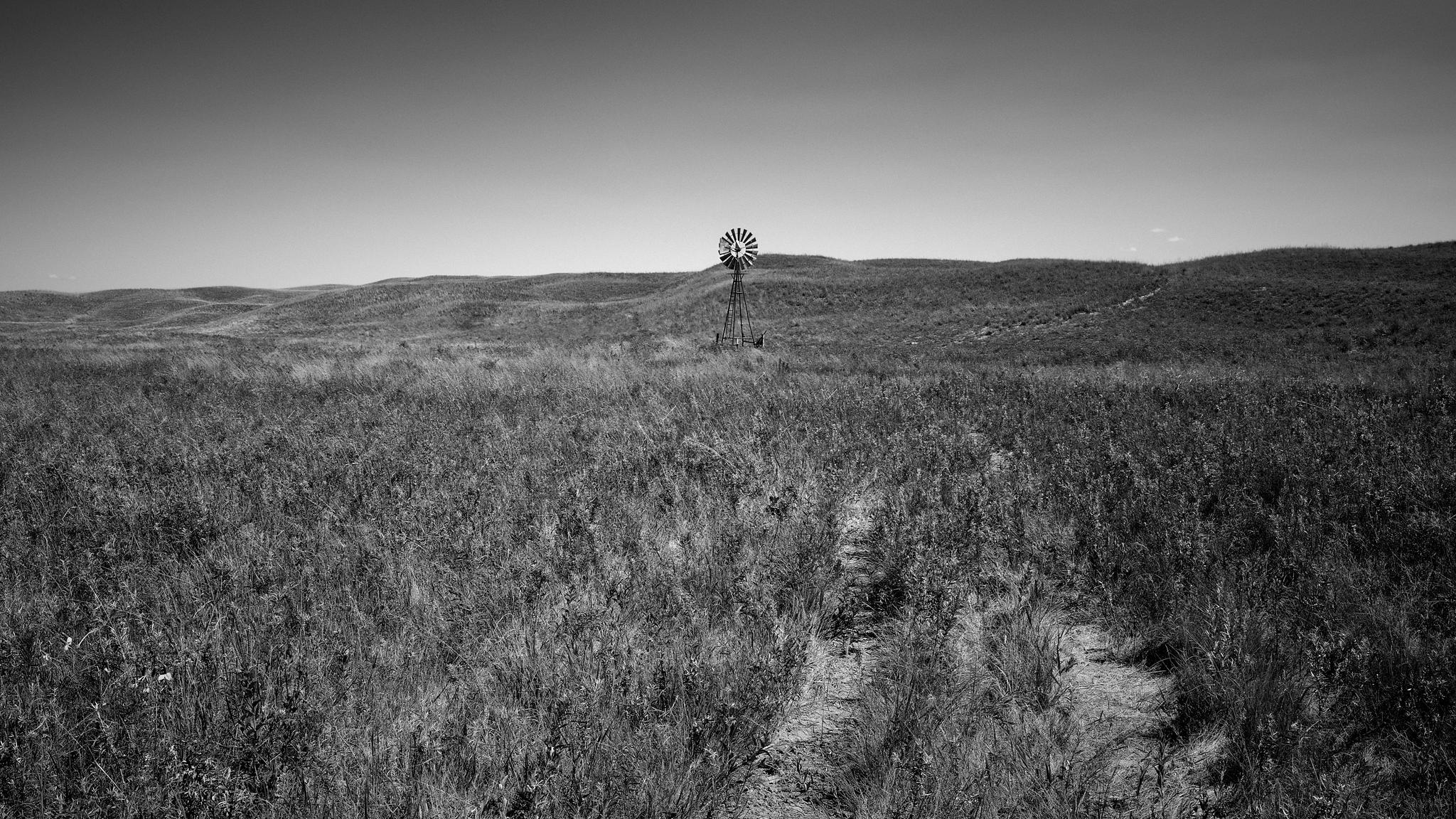 Lone Windmill