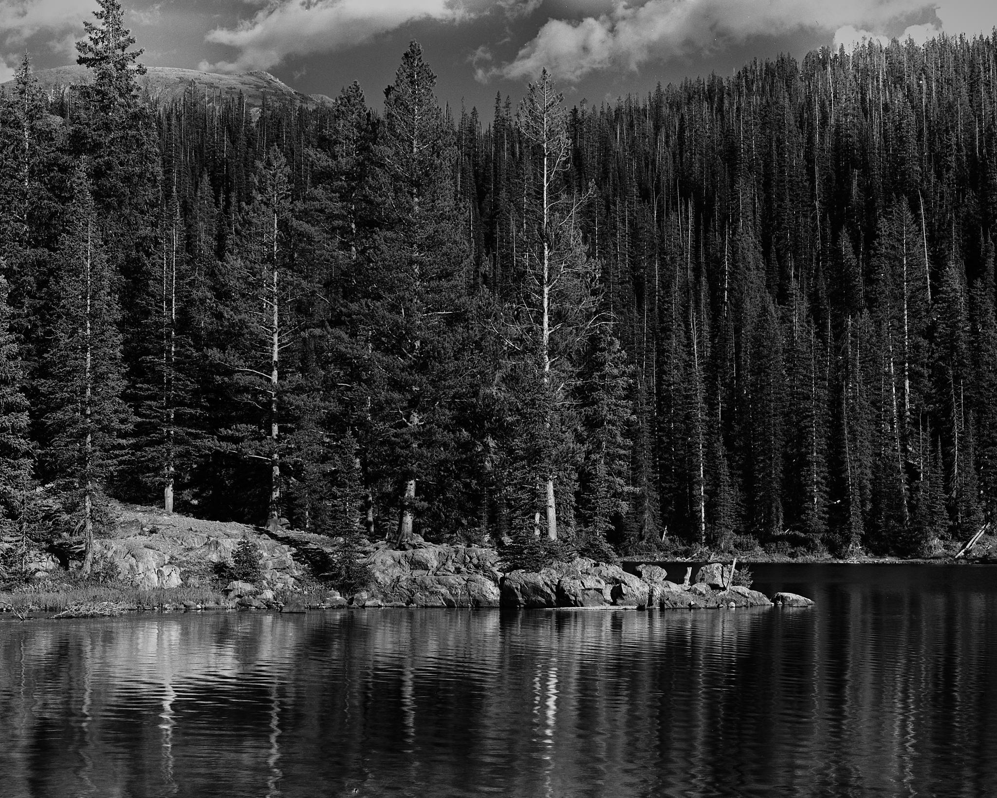 Reflections