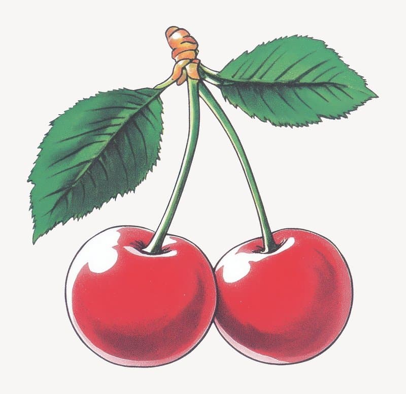 cherry's stuff