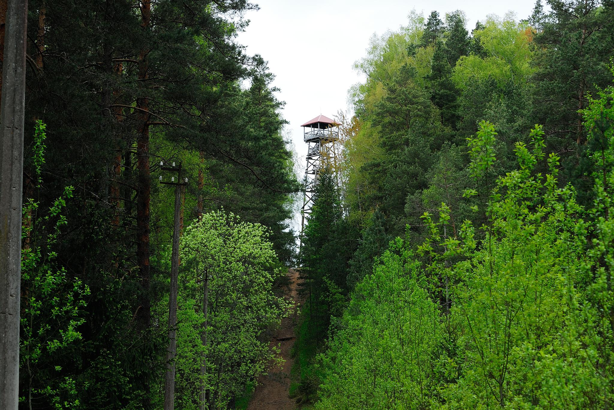 zaļie kalni