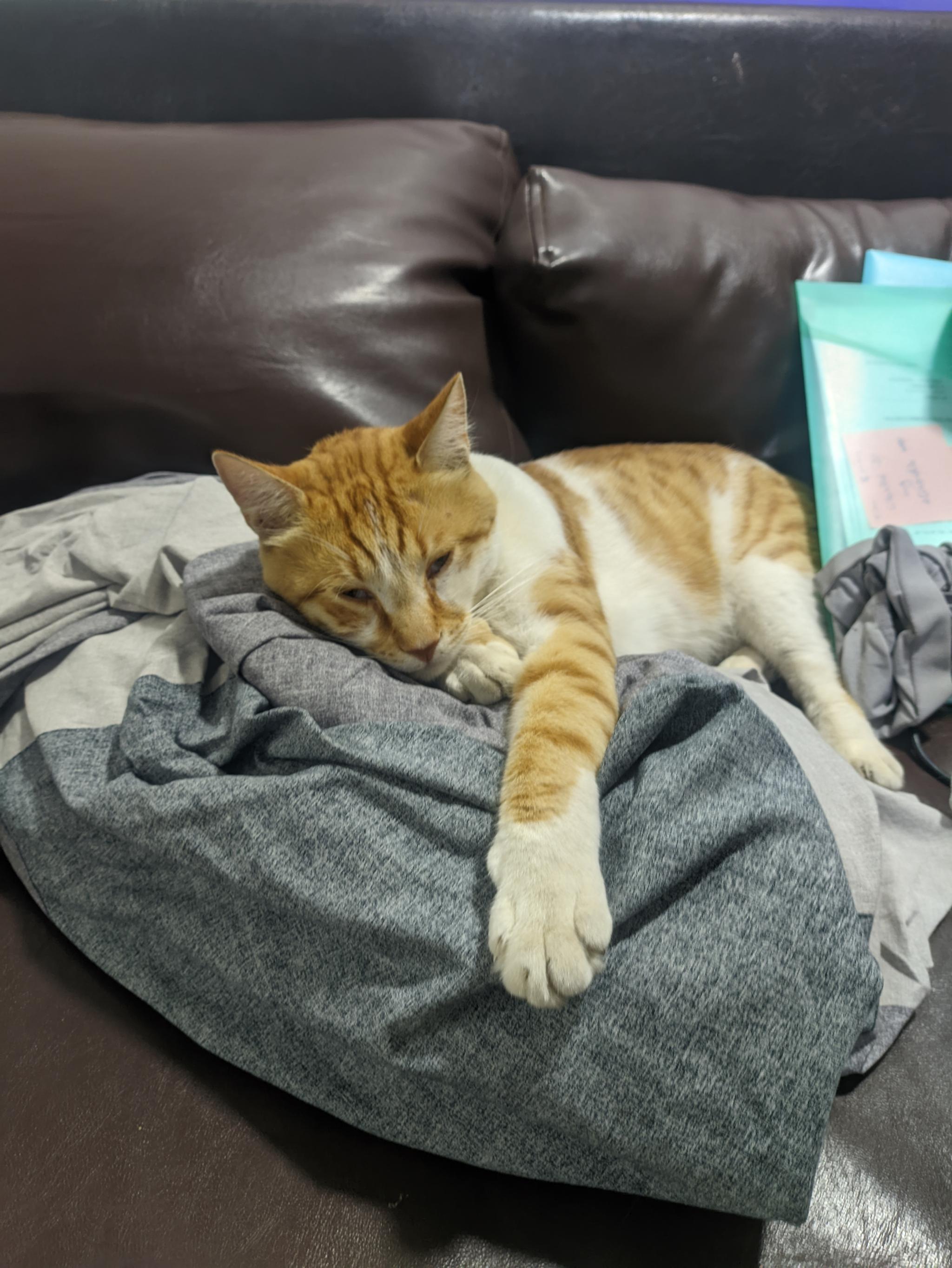 Lazy Friday