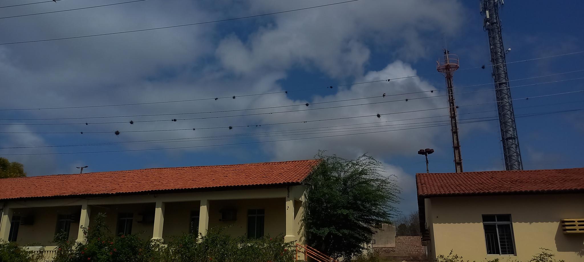 um lindo dia vai nascer
