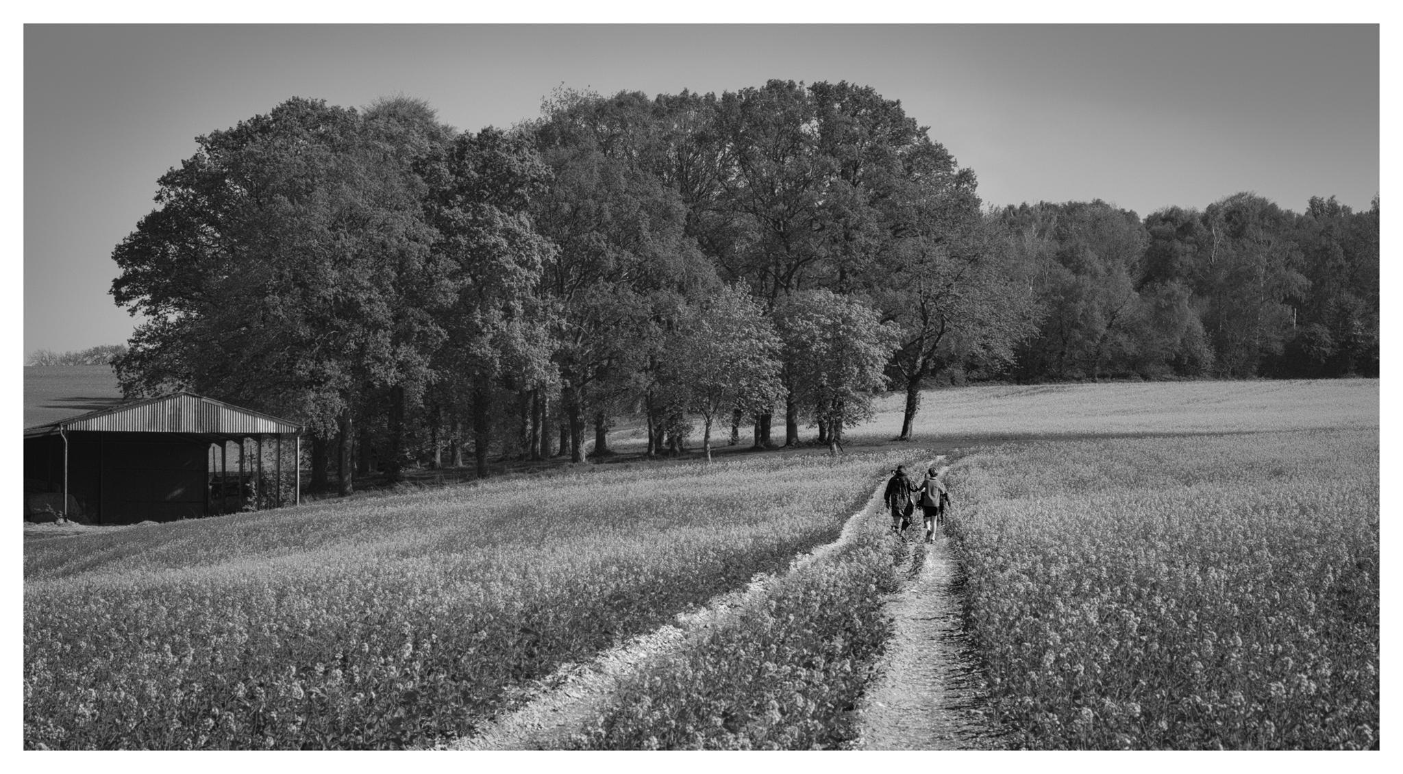 Walk from home