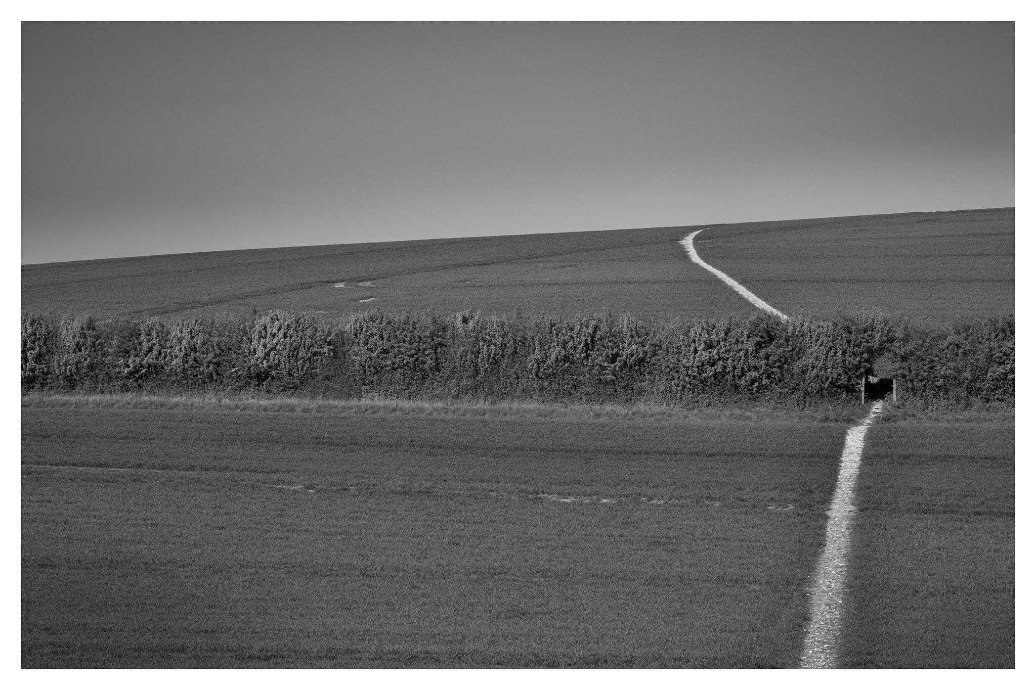 King's Somborne