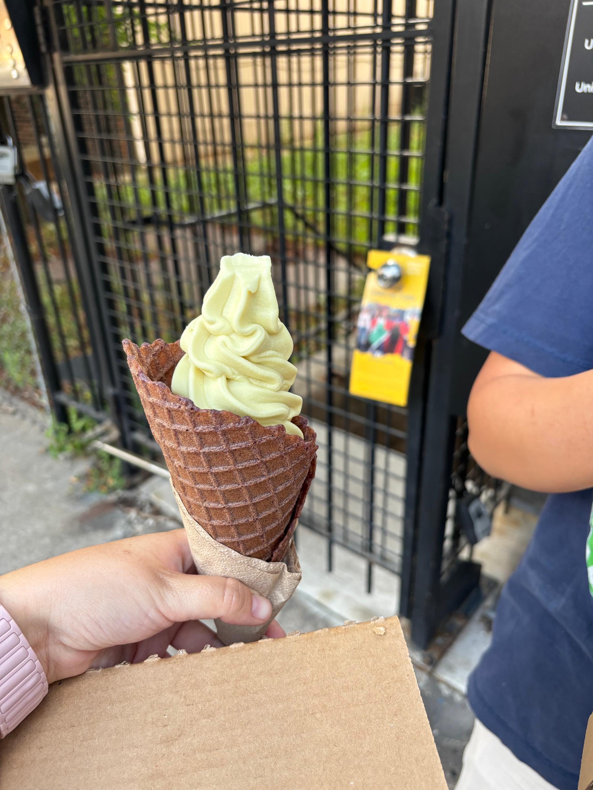 Sweet corn ice cream in a purple corn waffle cone. (I took a lick before thinking to take a photo.)