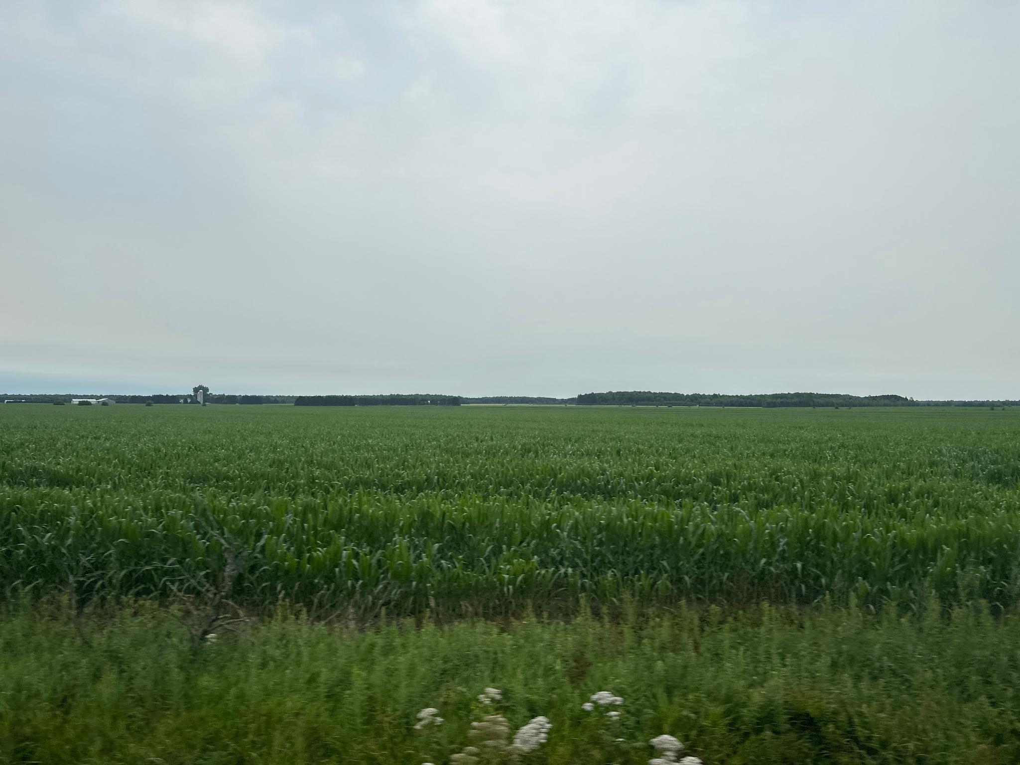 On VIA Rail from Quebec City to Dorval