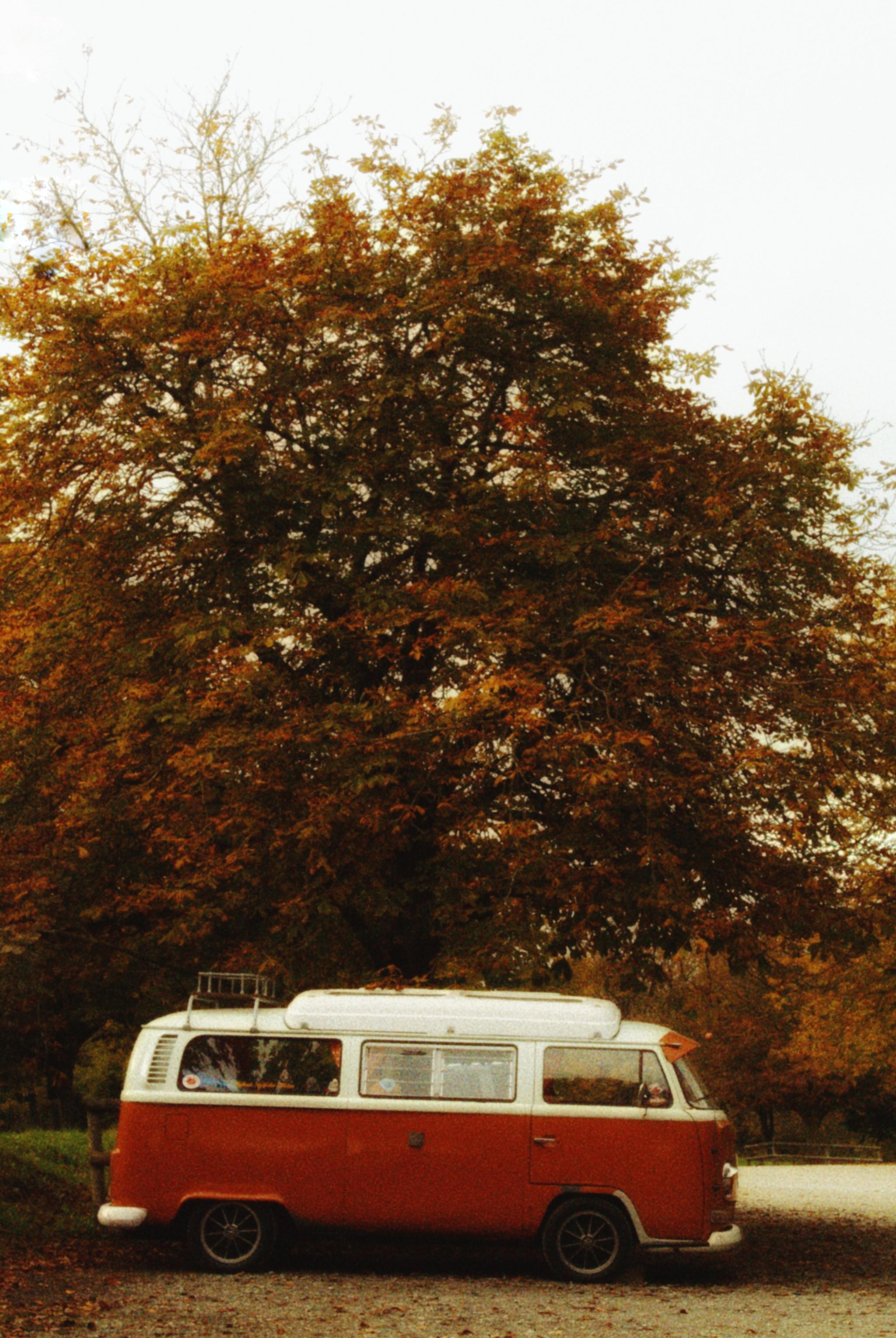 Autumn colours