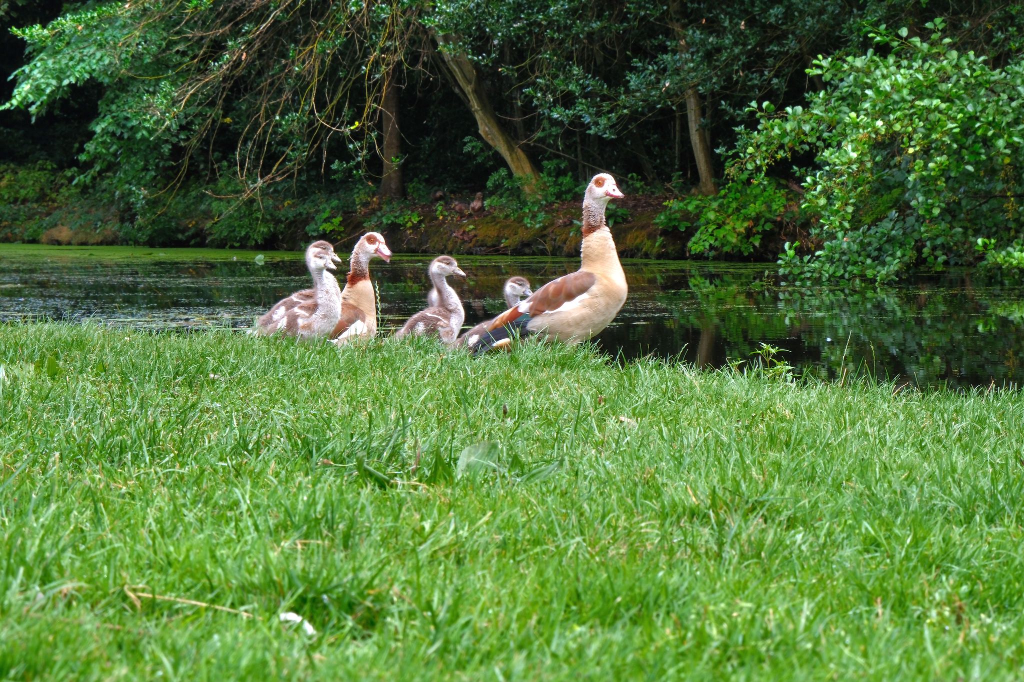 Photo from "Need help with photoshoot centennial Stadspark."