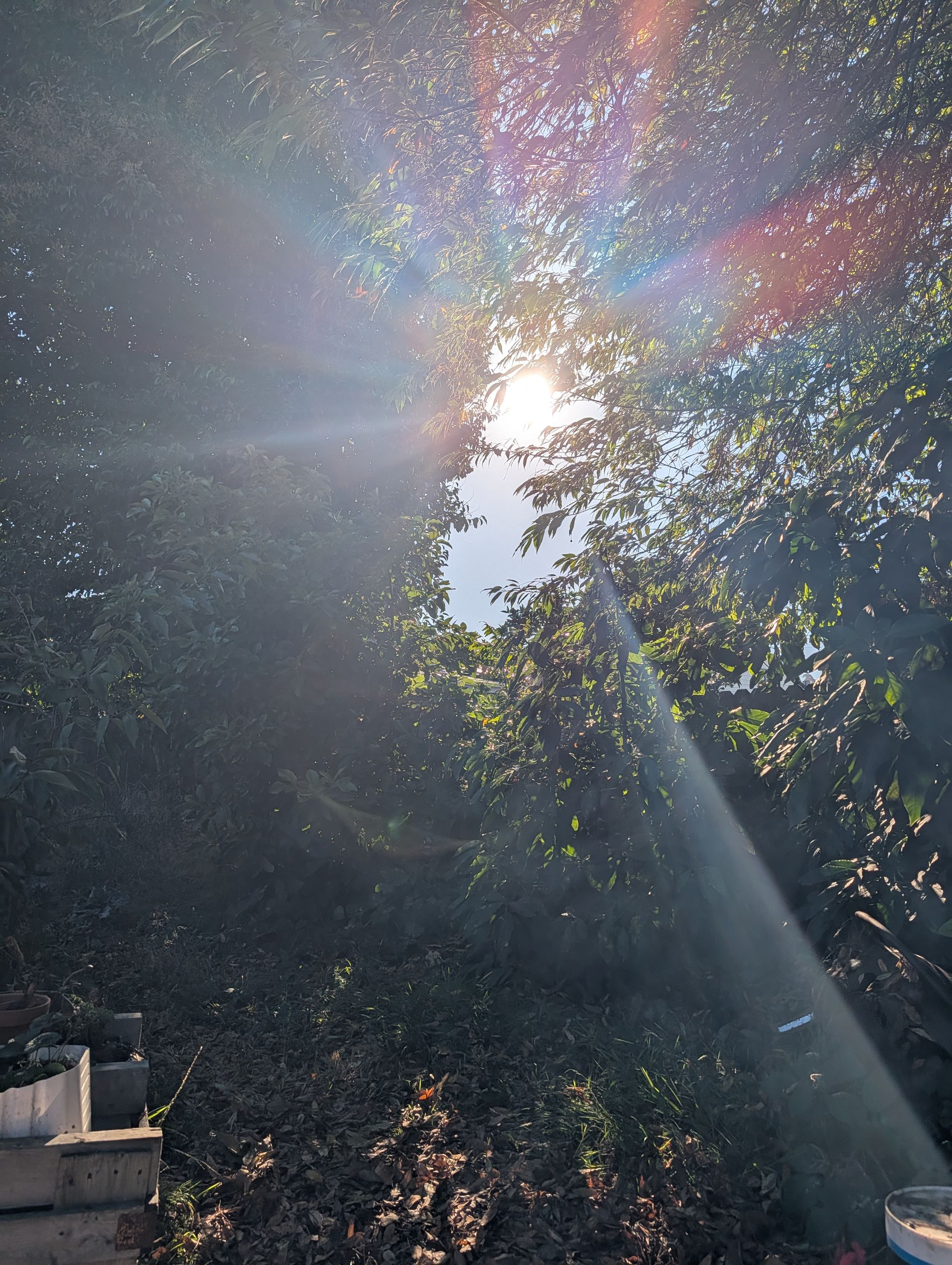 Photo from "rays of sun"