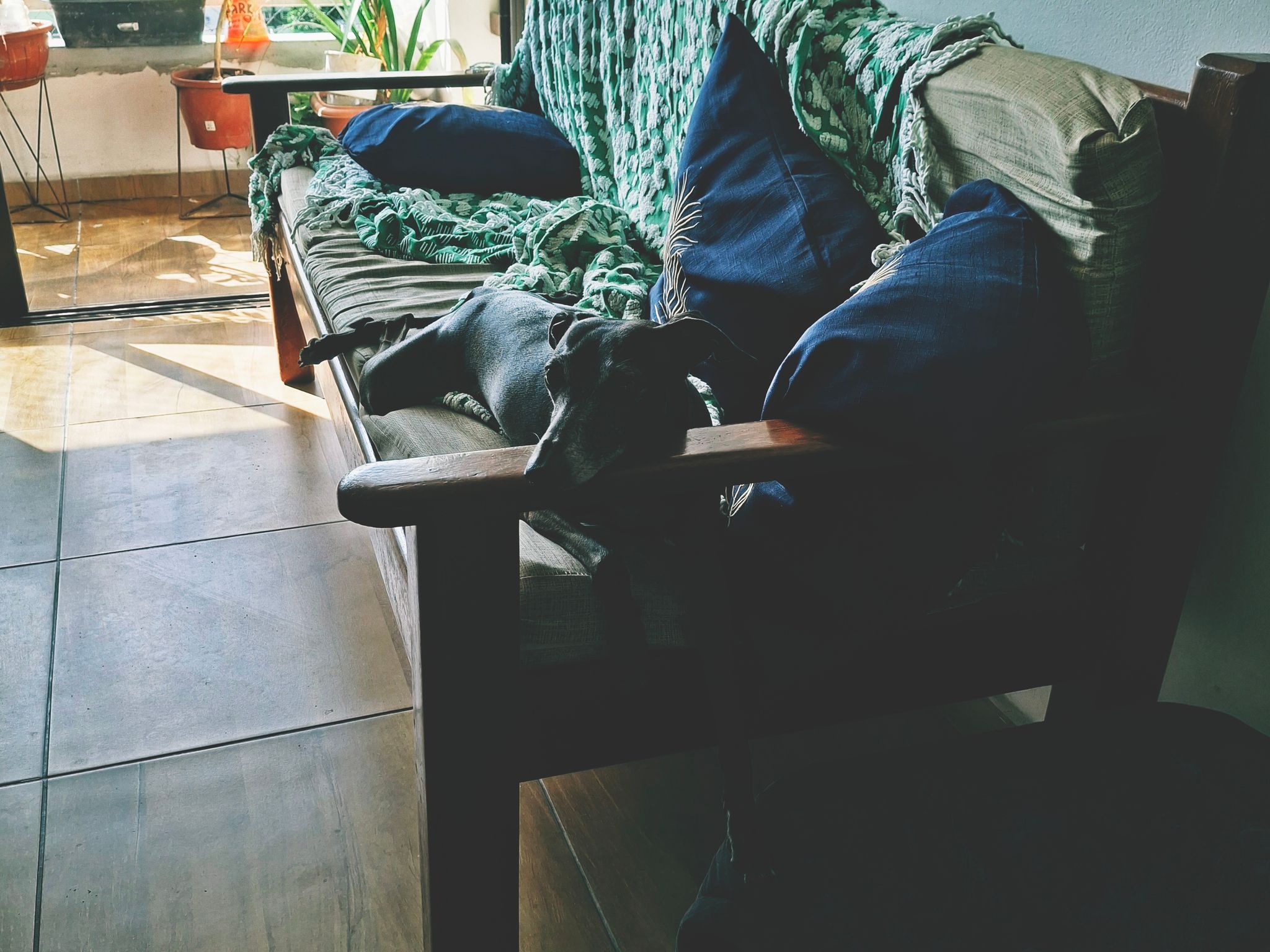Photo from "August 2026 · Casa"