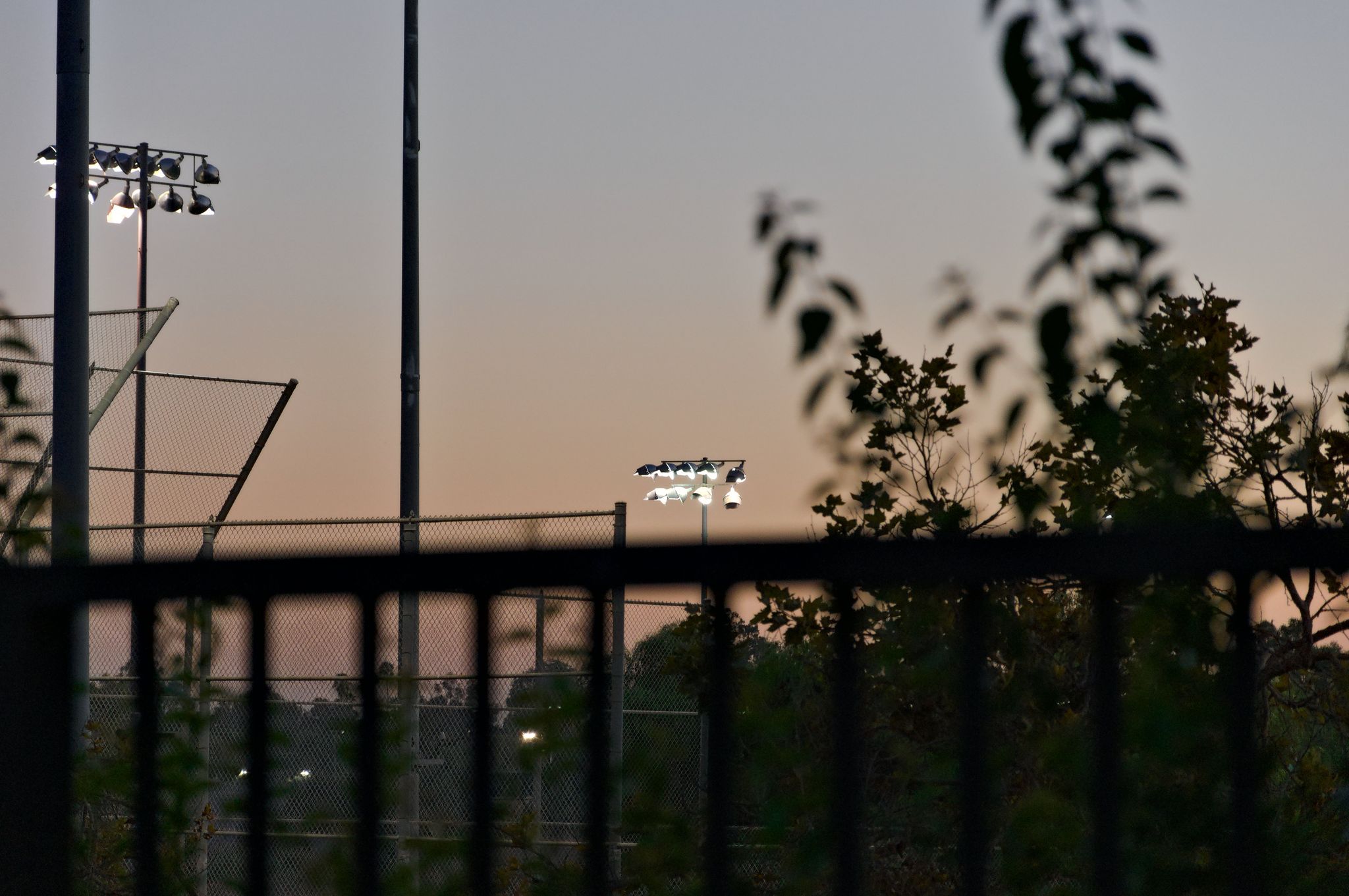 Photo from "August 2026"