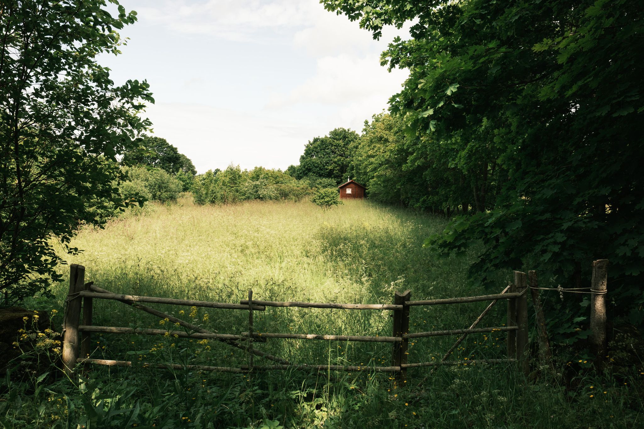 Photo from "Estonia"
