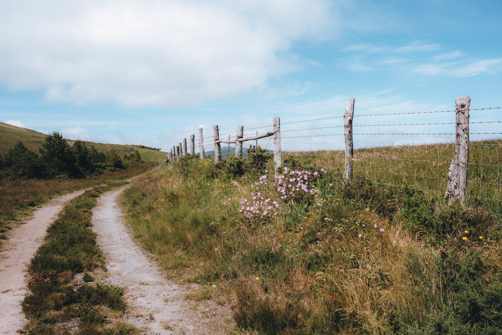 Hike on the Ruta de los Castros