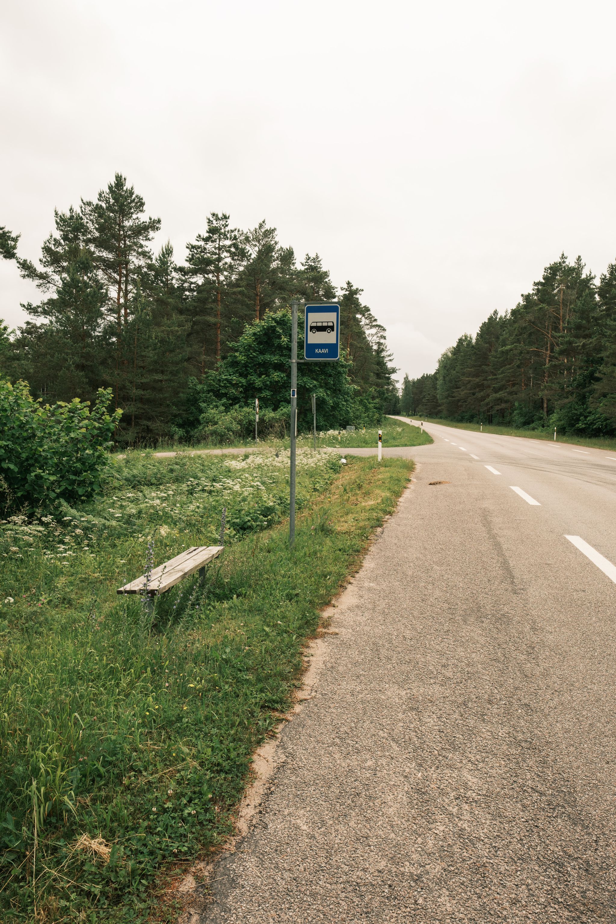 Photo from "Estonia"