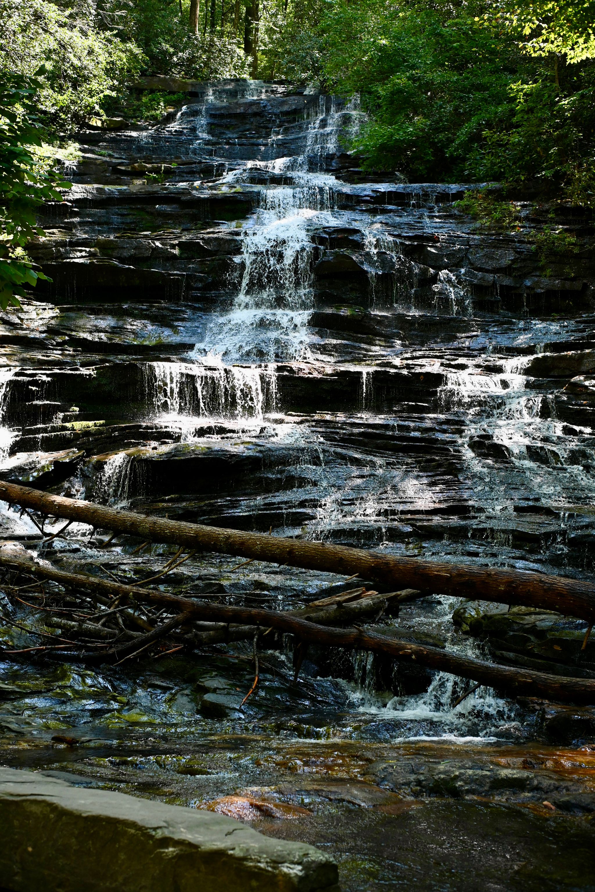 Water cascades down shale through dappled sunlight surrounded by trees.