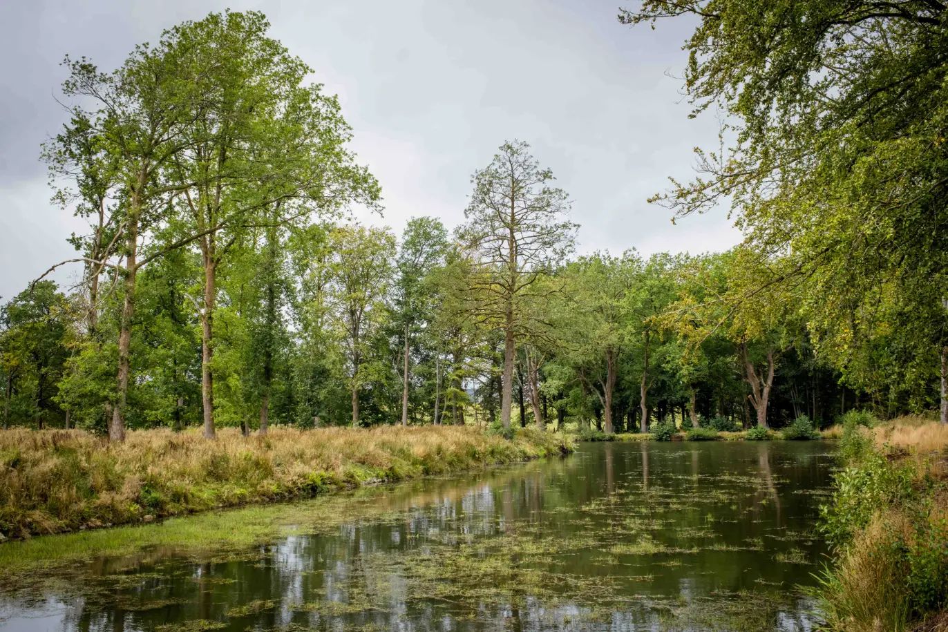 Photo from "A Rainy Walk in the Ardennes"