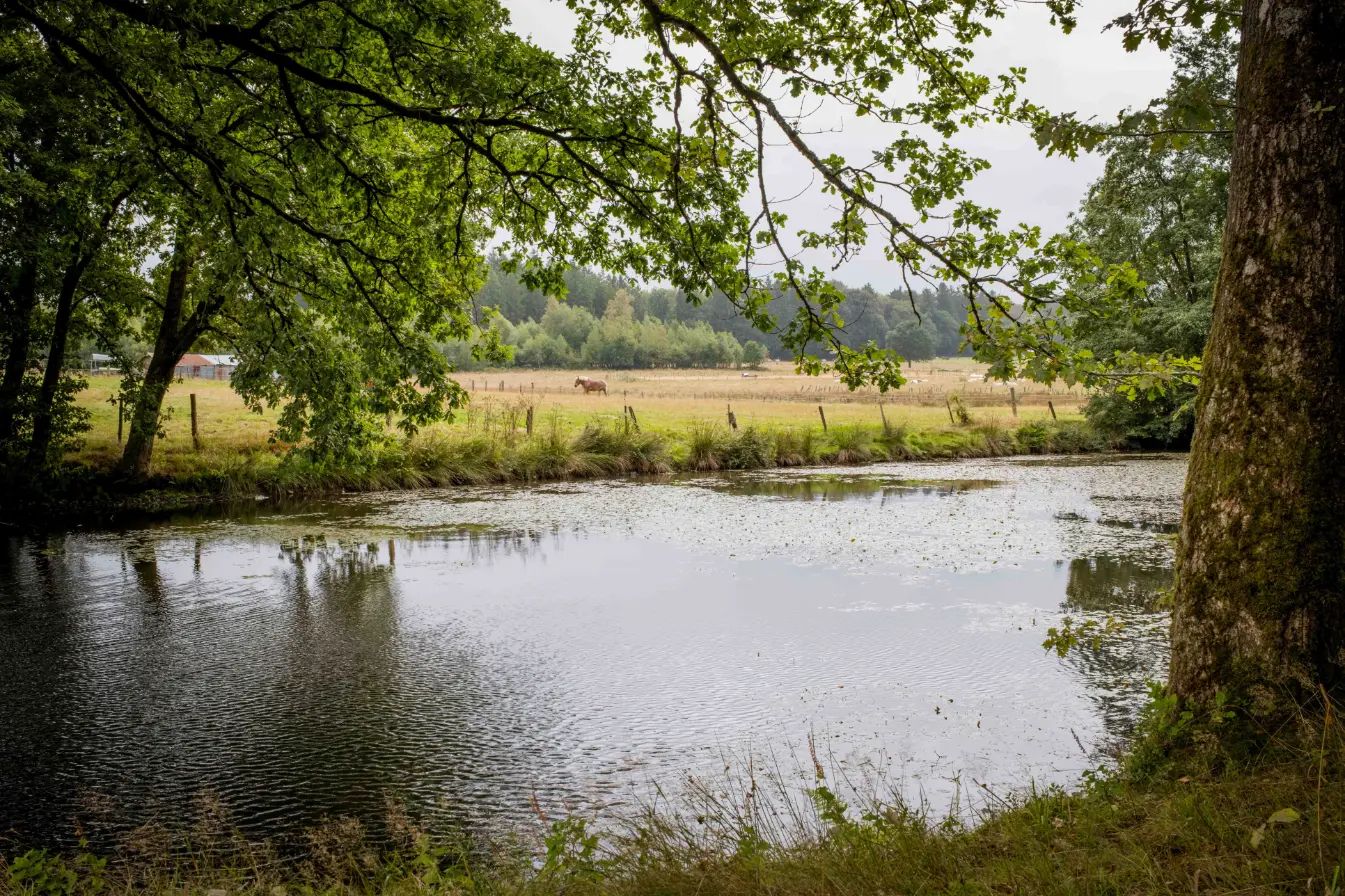 Photo from "A Rainy Walk in the Ardennes"