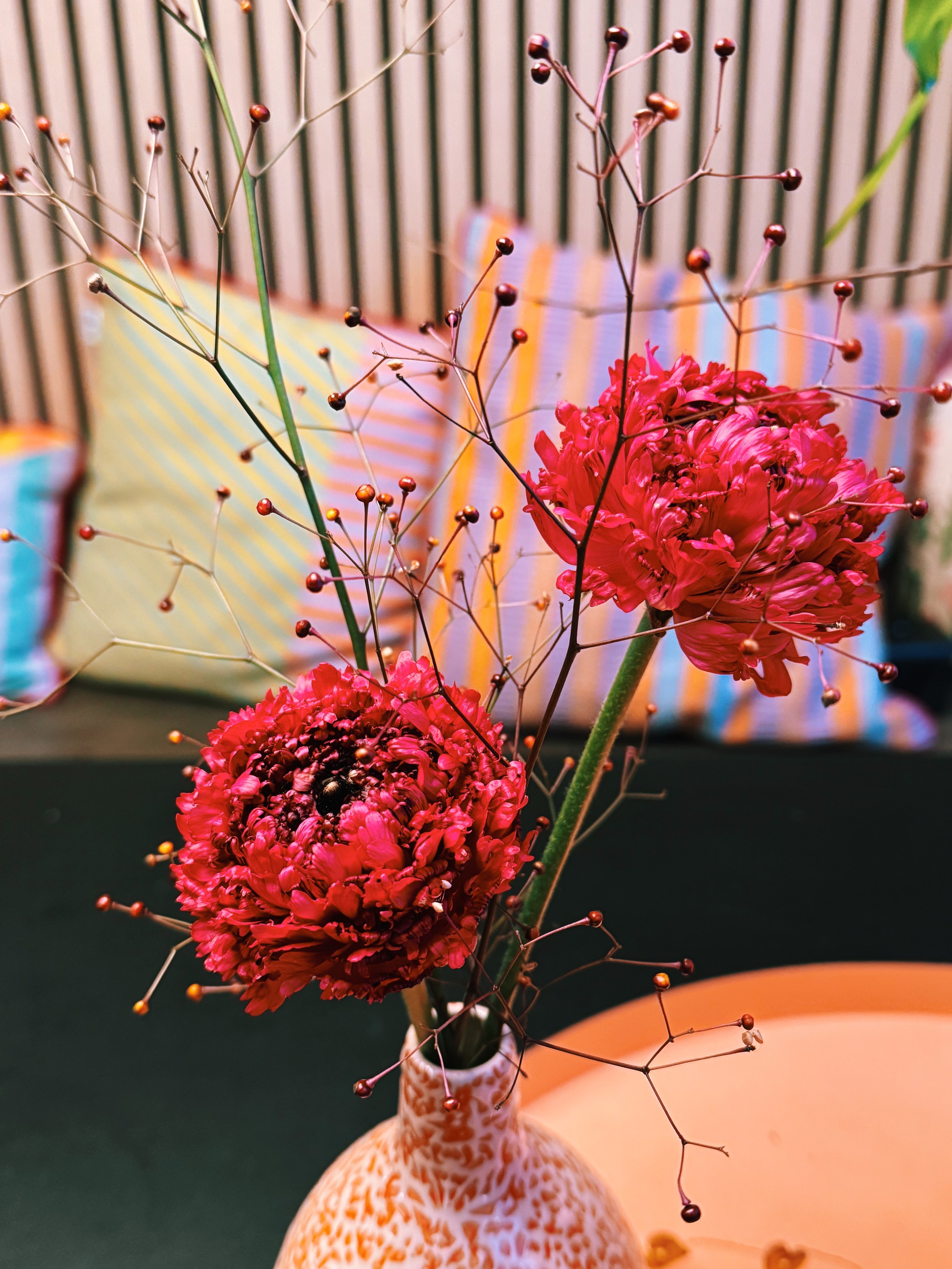 ranunculus