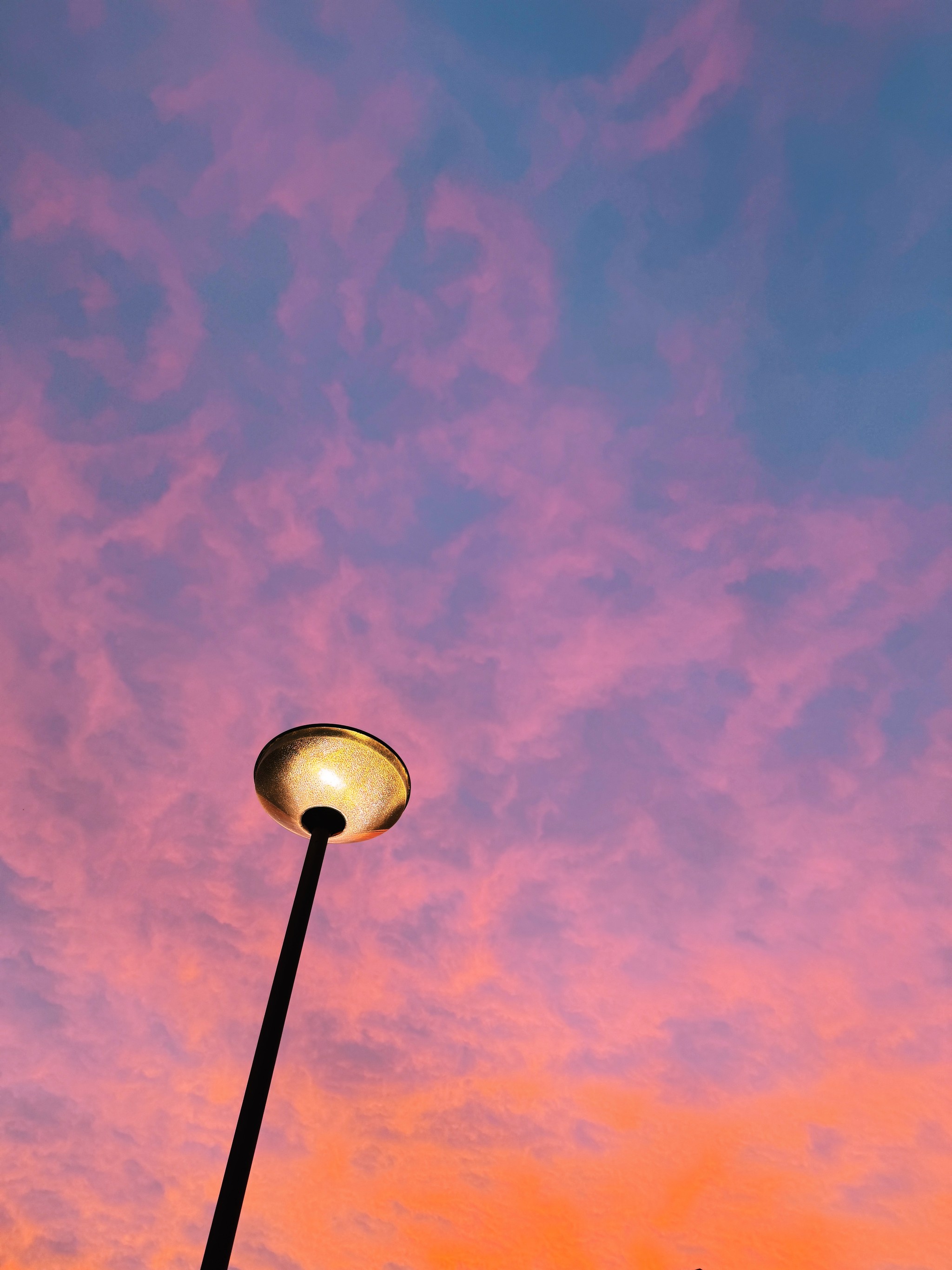 the sky was pink... and orange and purple