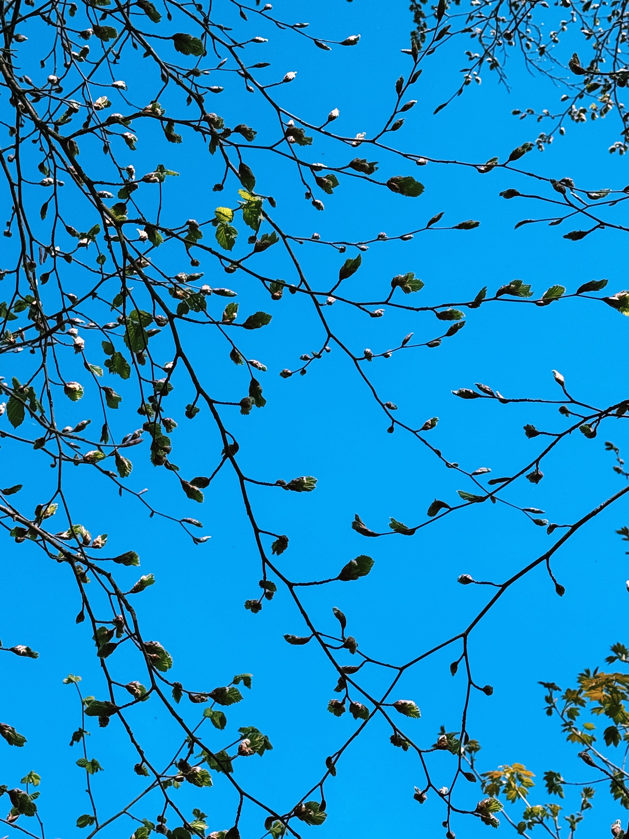 look up