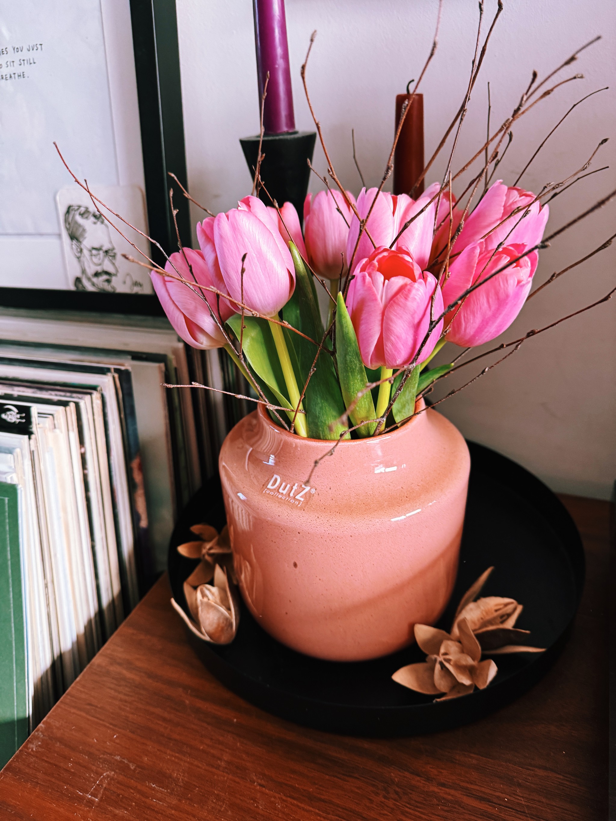 could be the last tulips of the season