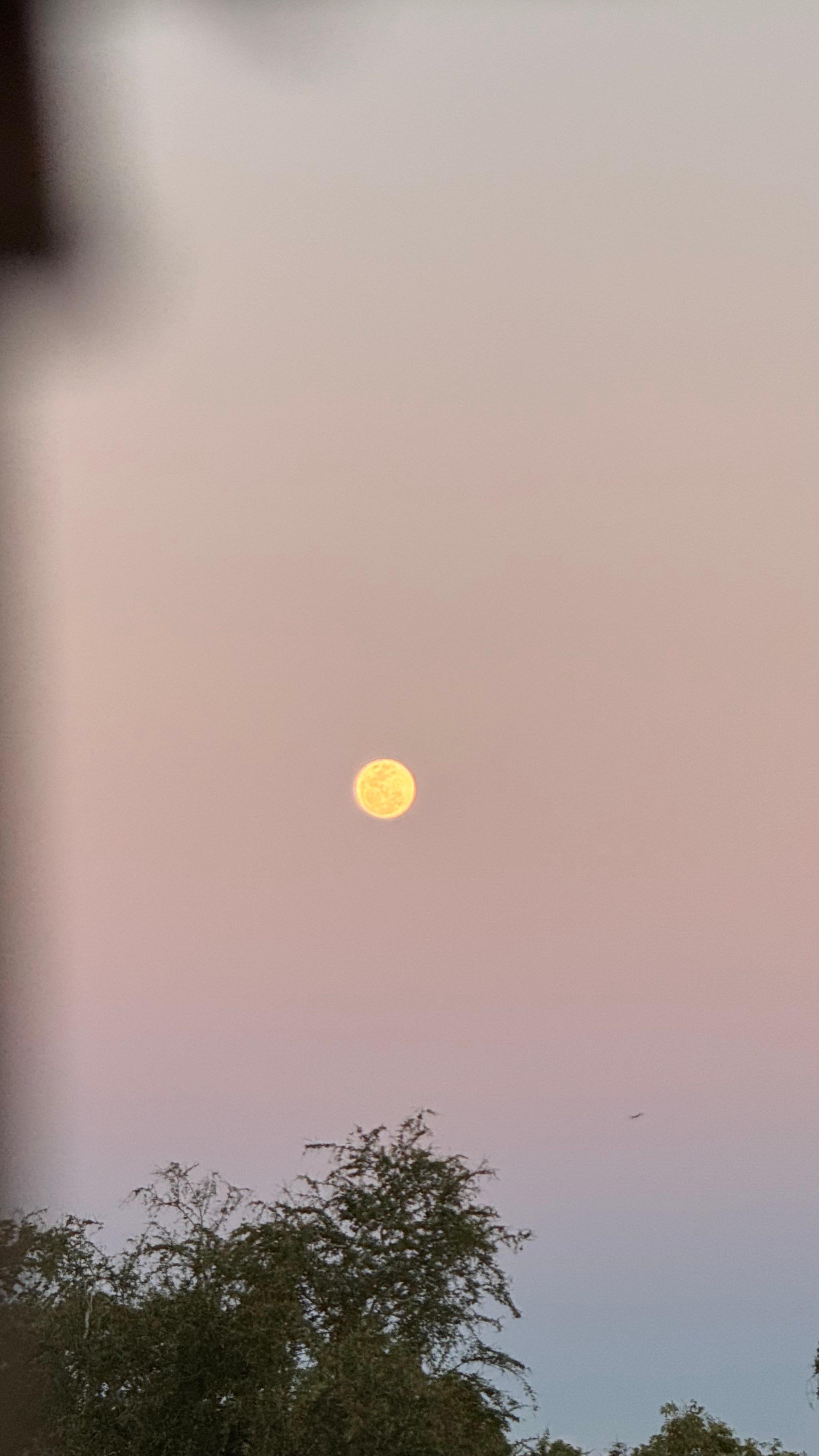 cotton candy skies and strawberry moon🍓🧸💗