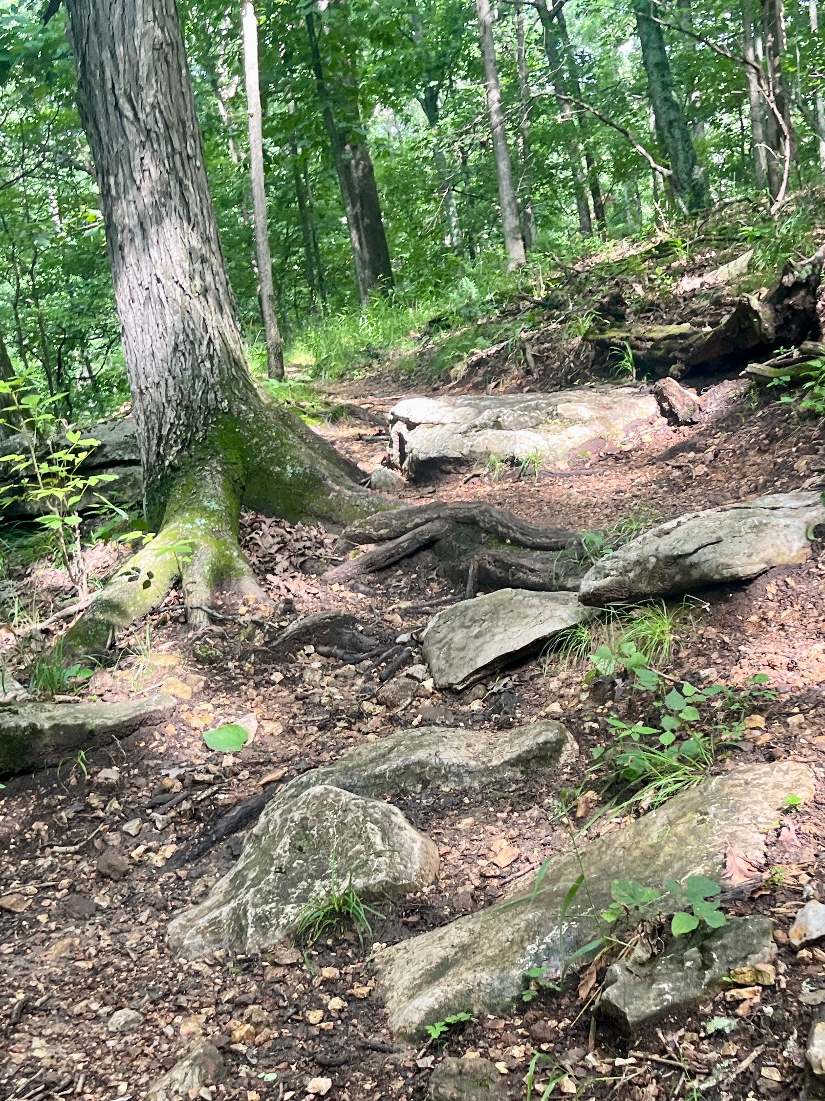 🥾 hiking church // 28 June, photo by Annie